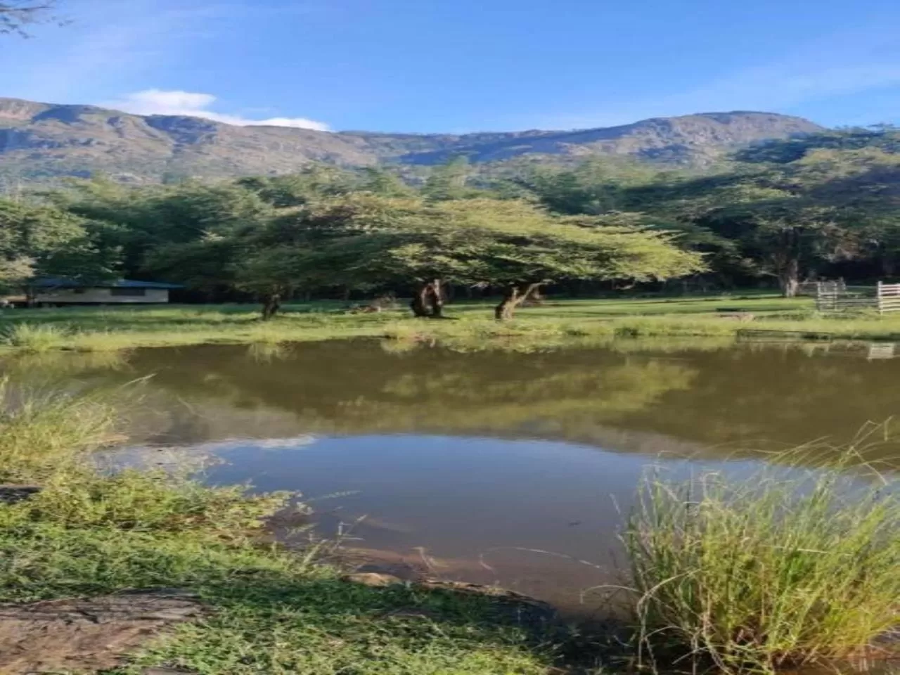 Mountain view in Jungle Hut Resort