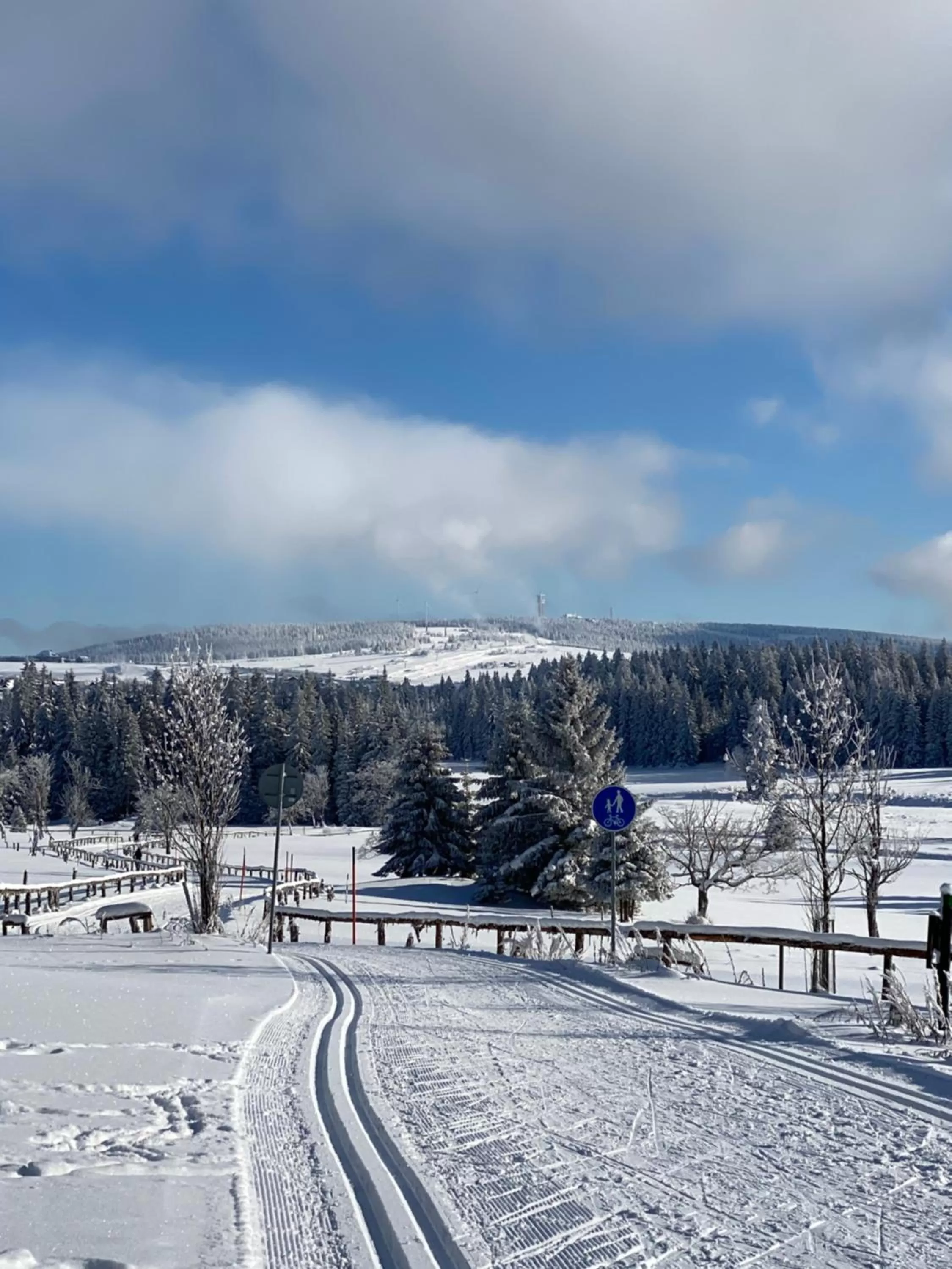 Natural landscape in Vila Jáchymov
