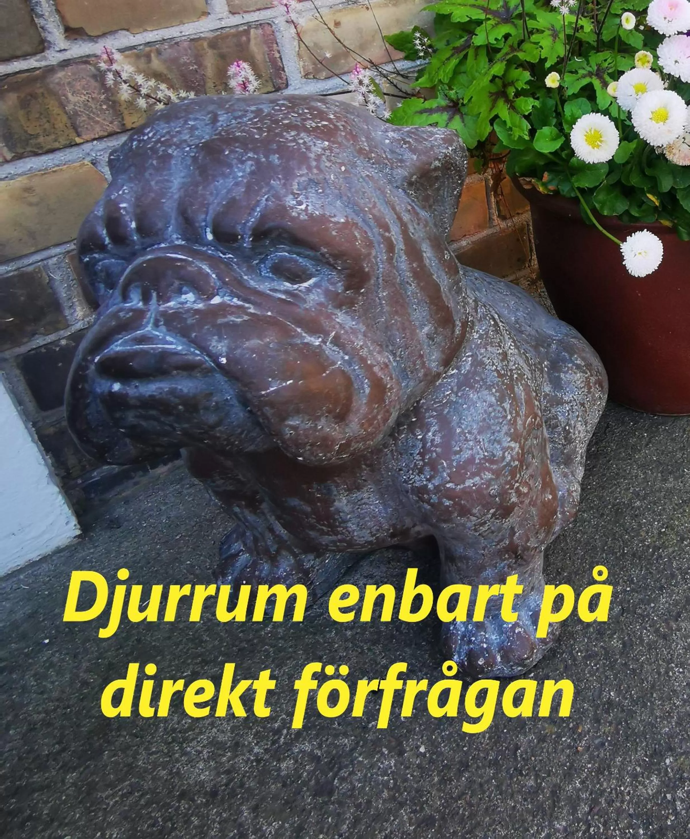 Budget Twin Room - single occupancy in Åhus B&B och Vandrarhem