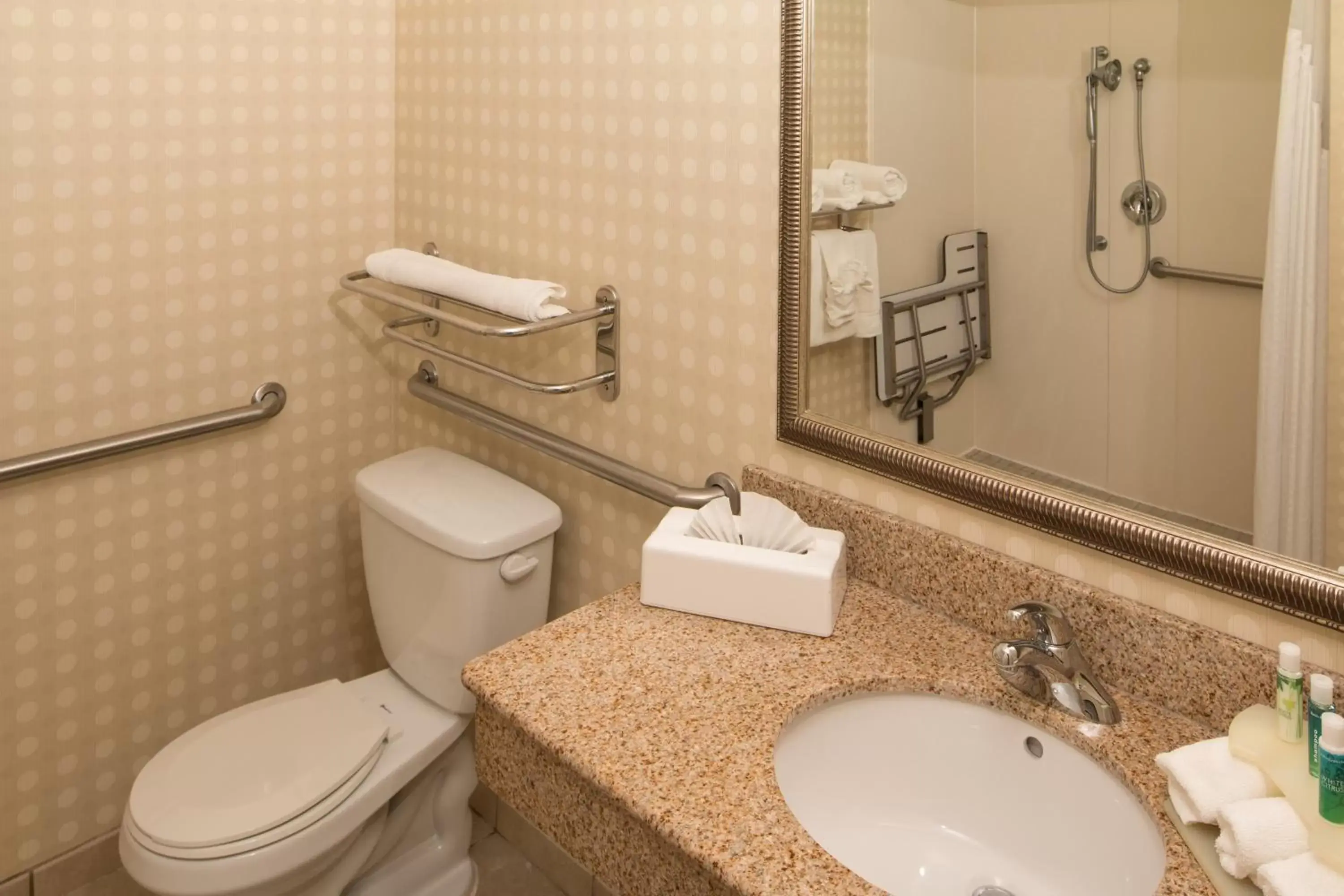 Photo of the whole room, Bathroom in Holiday Inn Express Hotel & Suites Greensboro - Airport Area, an IHG Hotel