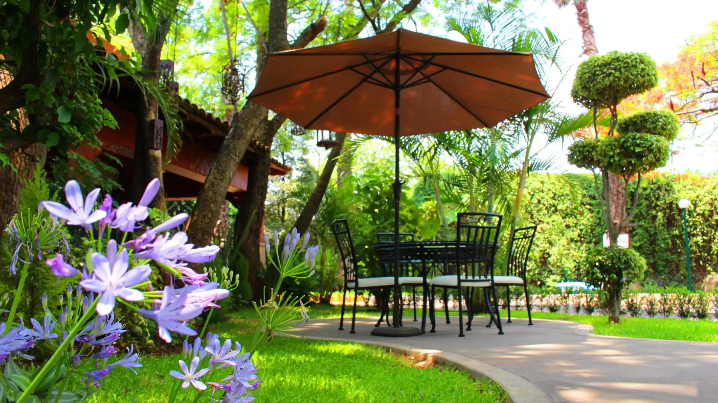 Restaurant/places to eat, Patio/Outdoor Area in Meson del Valle