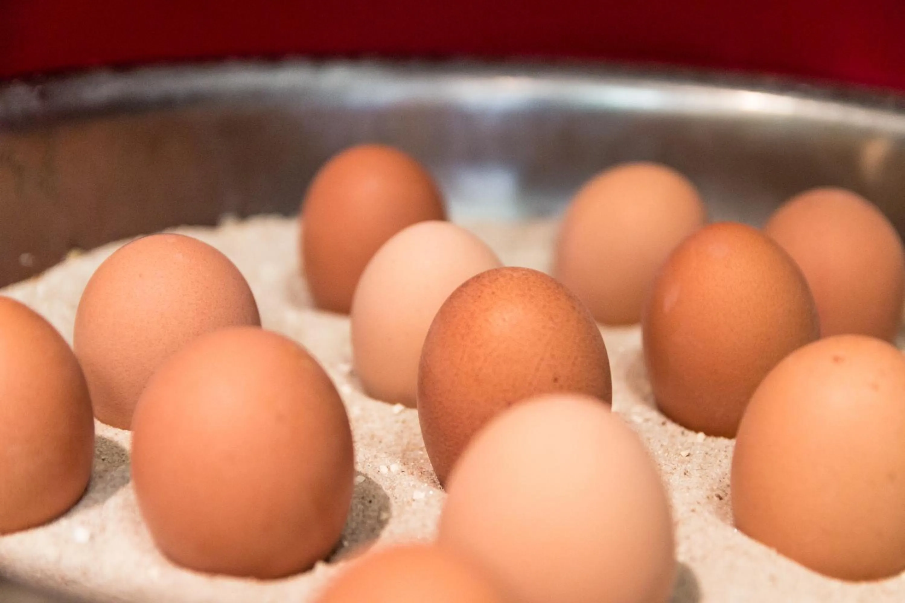 Food close-up in Gästehaus Centro in Konstanz
