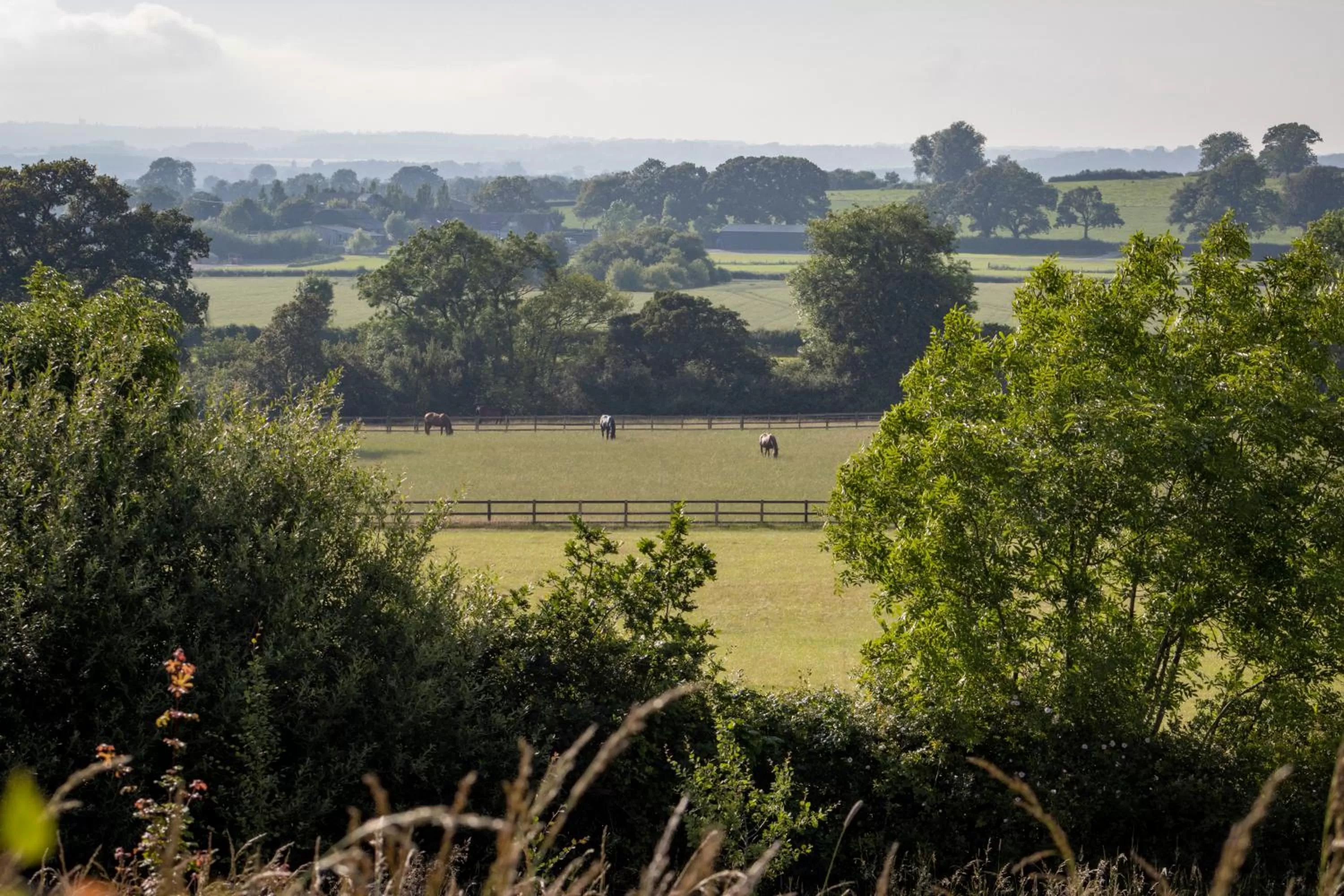 Natural landscape in Gutchpool Farm