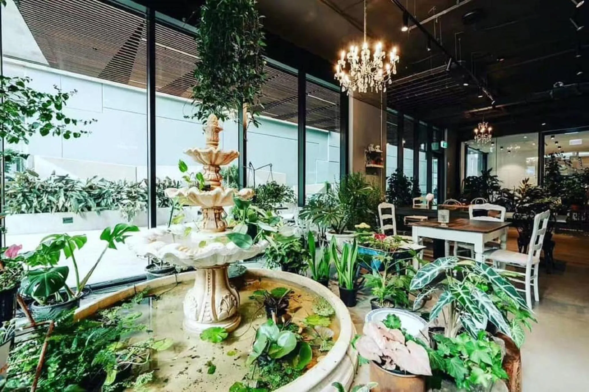 Restaurant/places to eat in Quest North Sydney