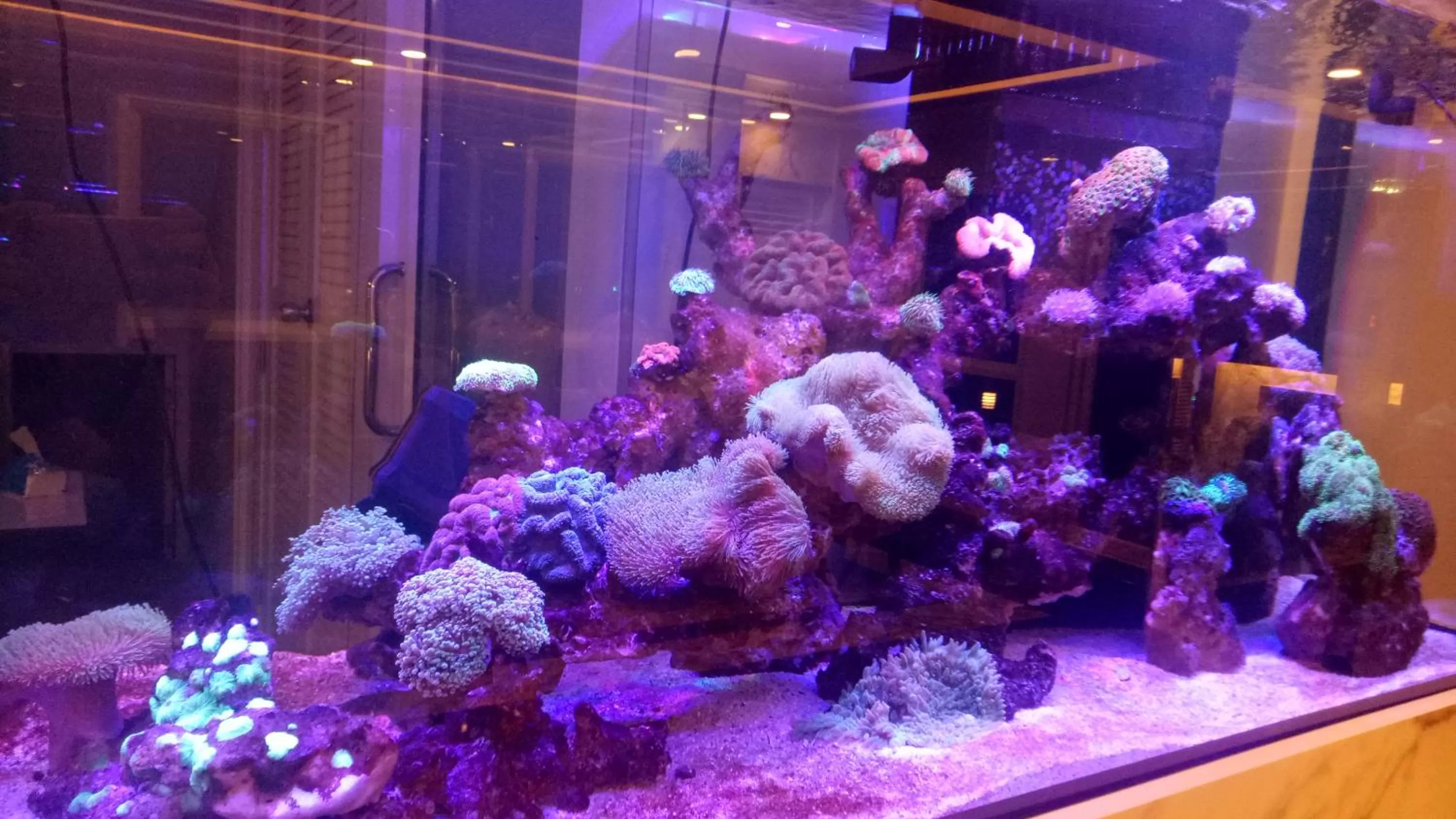 B-your home Hotel Don Mueang Airport Bangkok 如你家酒店