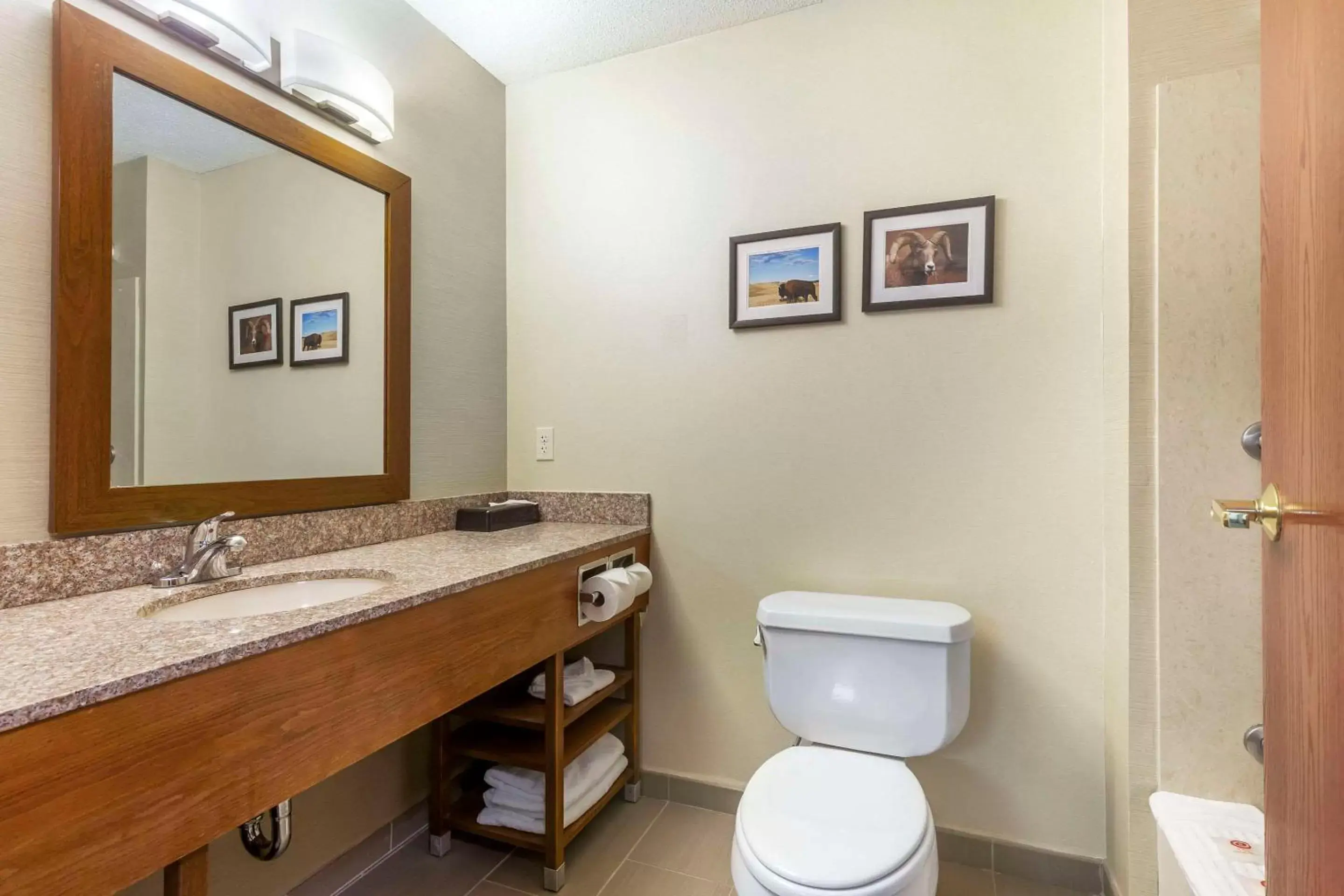 Bedroom, Bathroom in Comfort Inn & Suites Rapid City