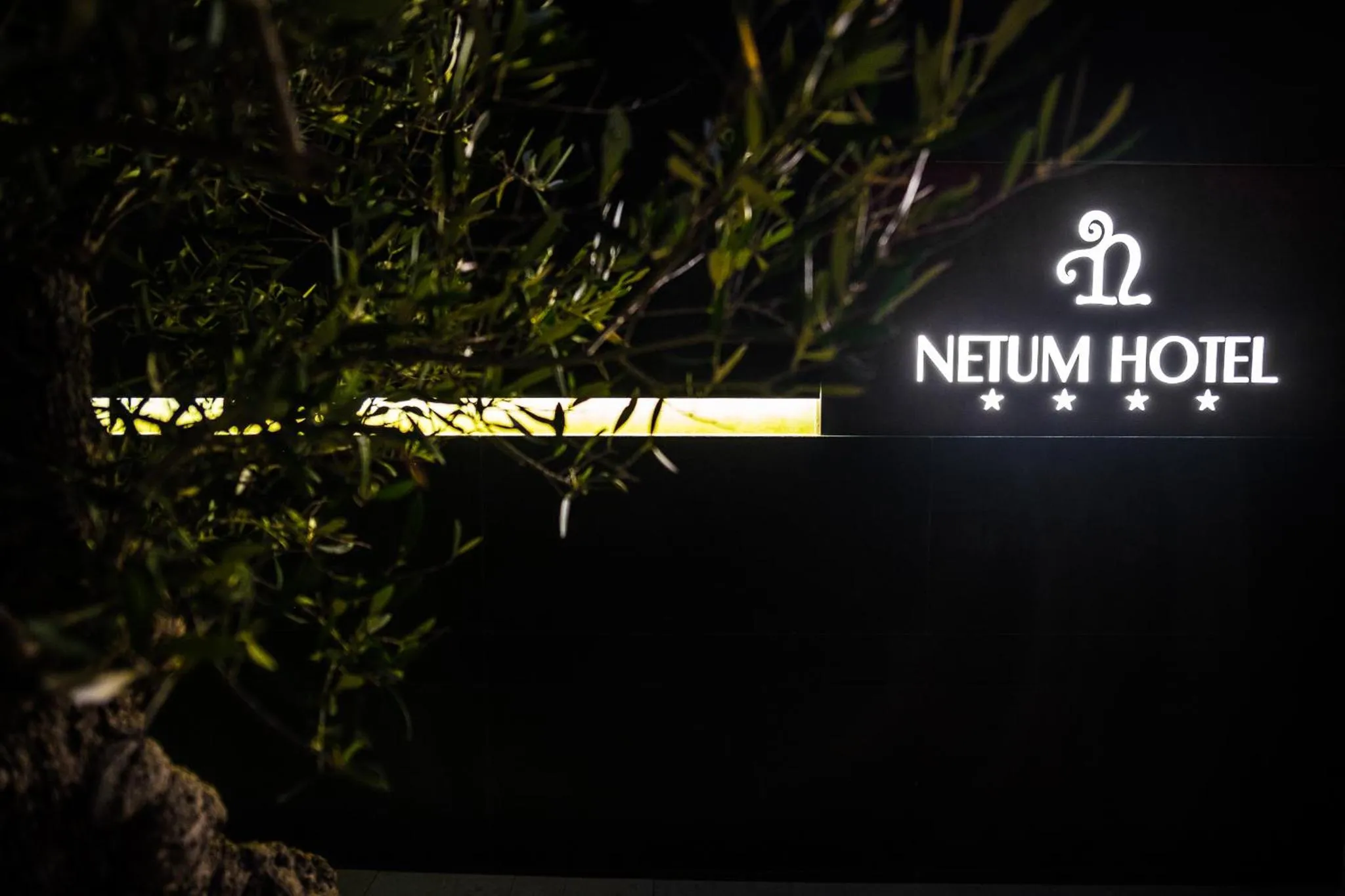 Property logo or sign in Netum Hotel