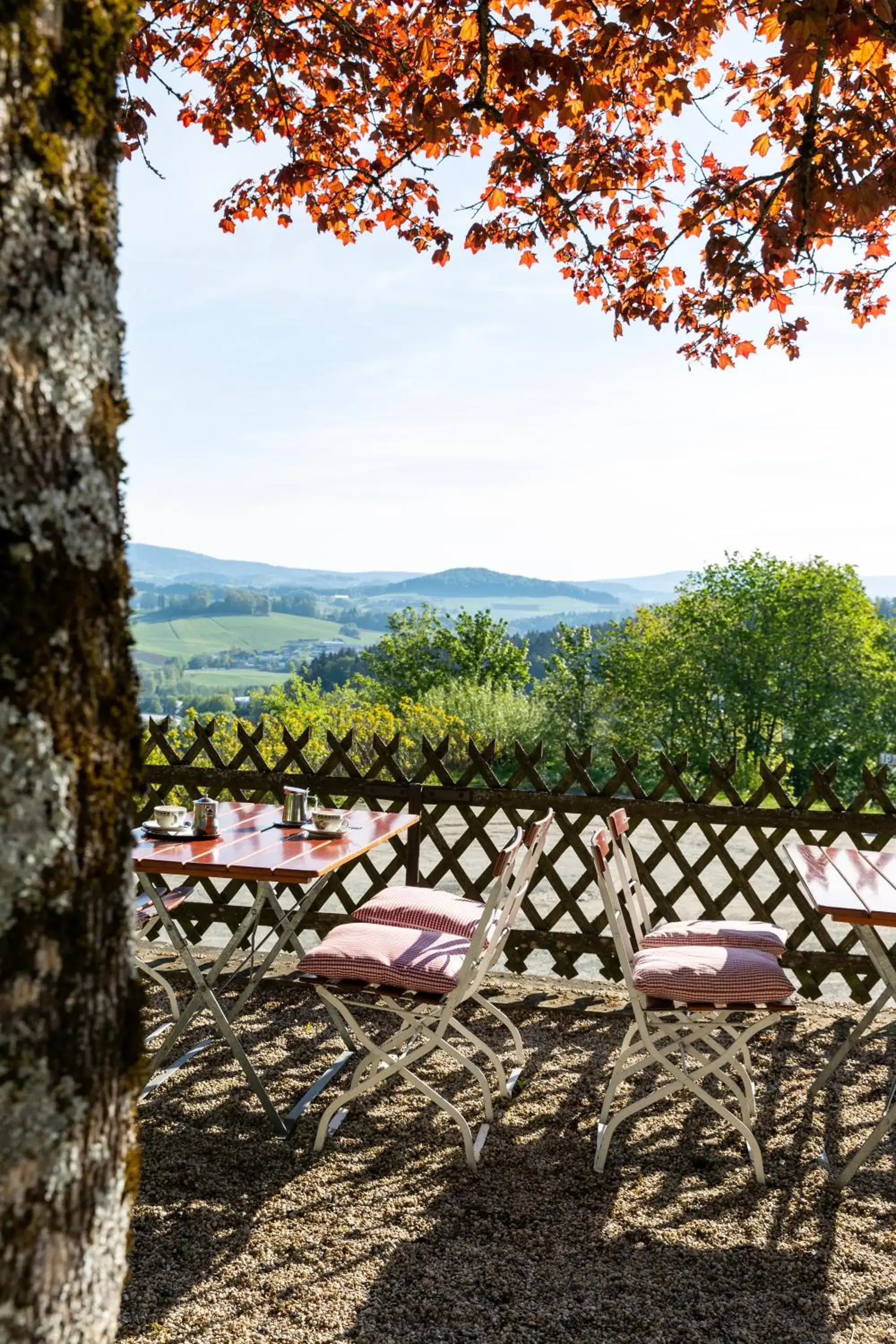 Mountain view in Landhotel Gottinger