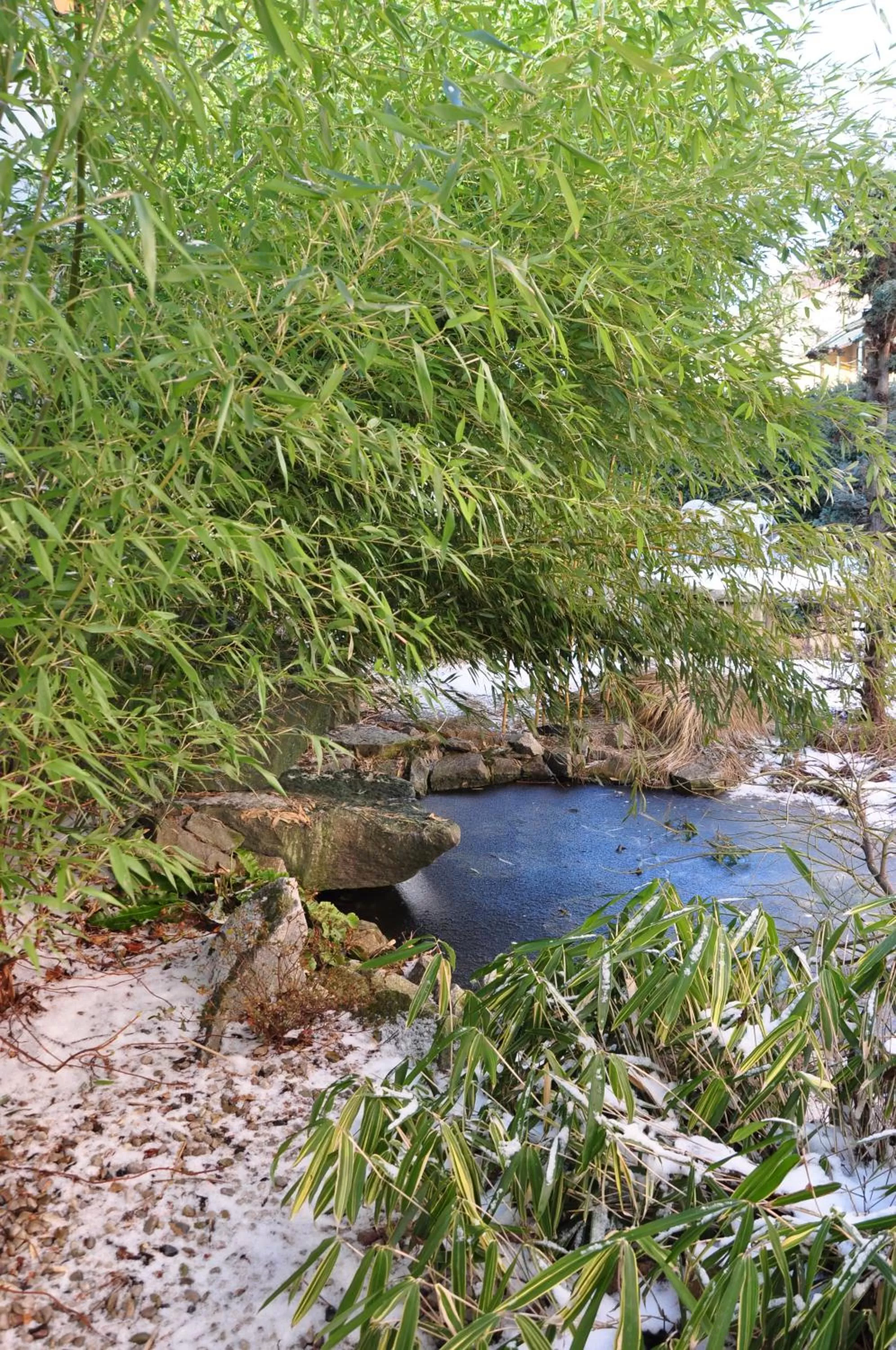 Garden in Hotel Lions Plzen