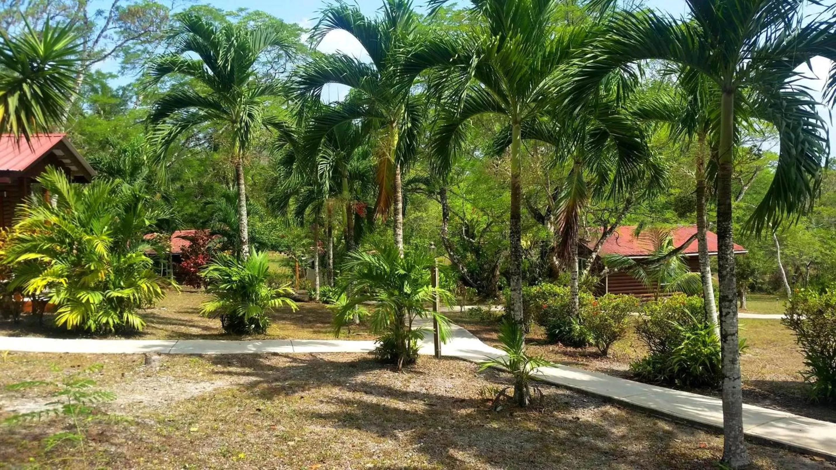 View (from property/room) in The Log Cab-Inn