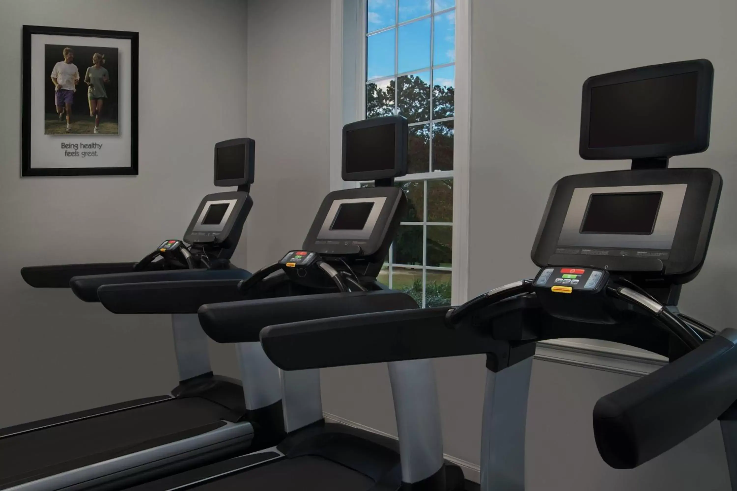 Fitness centre/facilities, Fitness Center/Facilities in Marriott's Manor Club at Ford's Colony