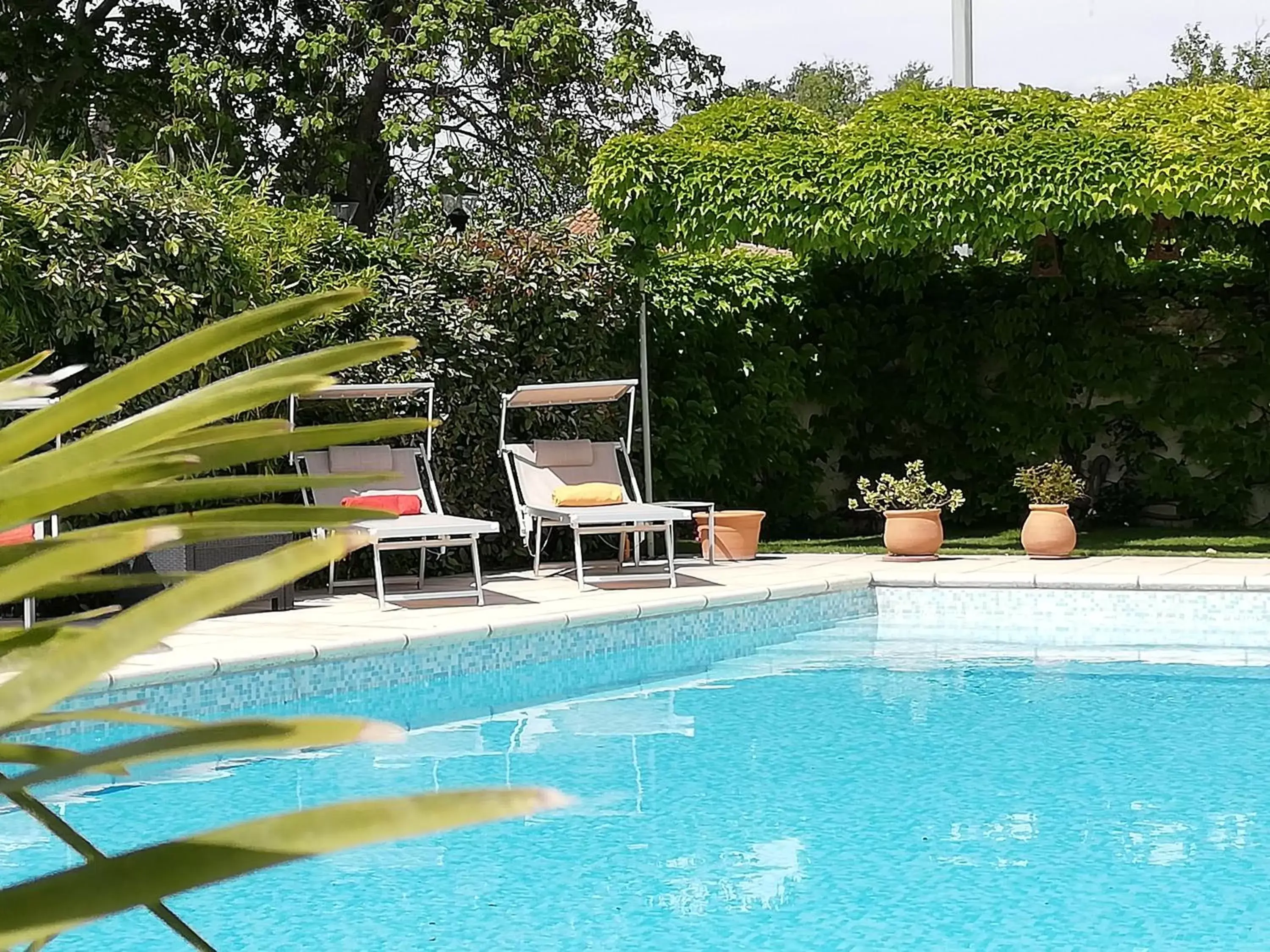 Pool view, Swimming Pool in HÖTEL LE CASTELLAN