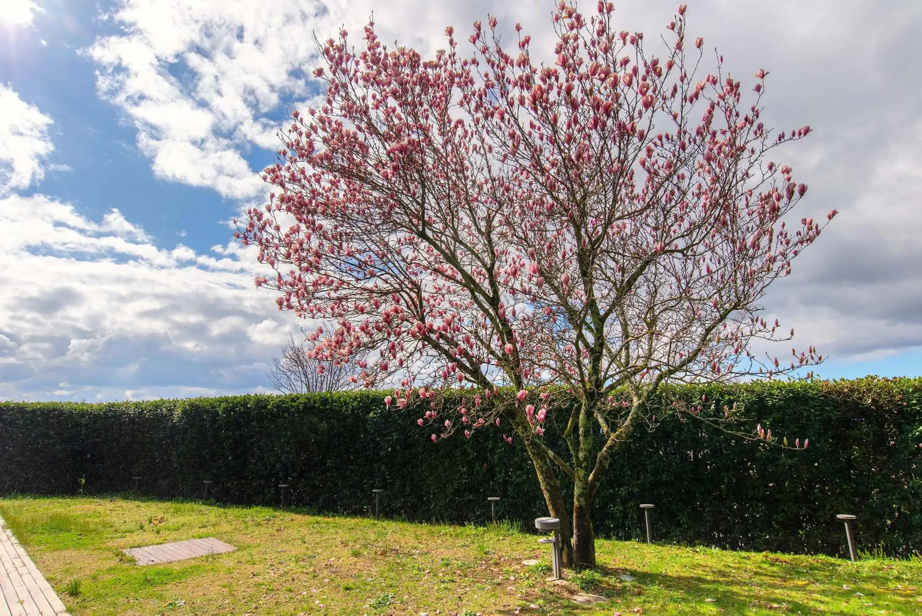 Garden in Villa Cassia di Baccano