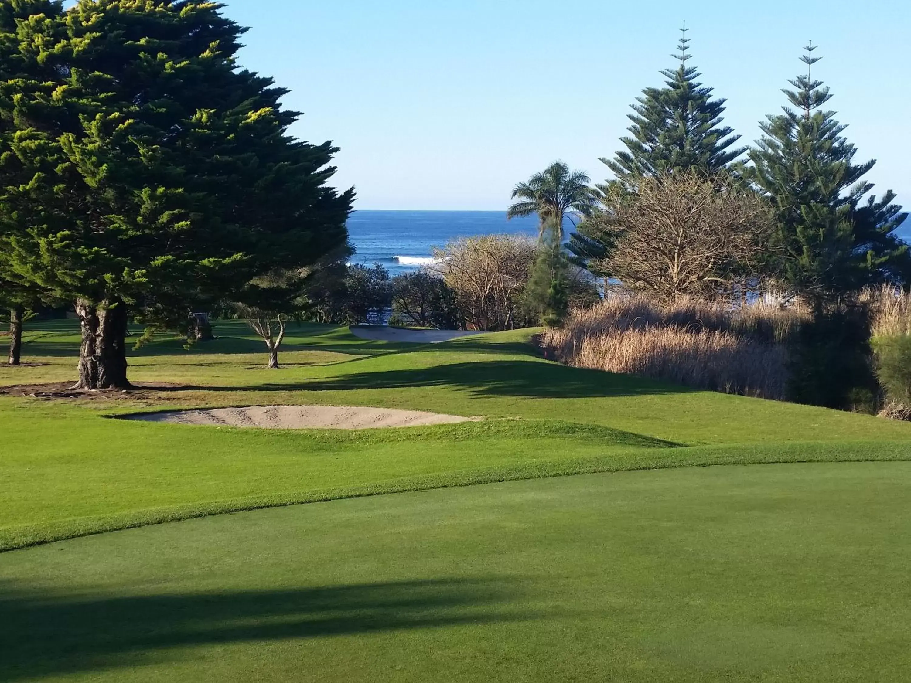 Golfcourse, Golf in Dolphins of Mollymook Motel and Fifth Green Apartments