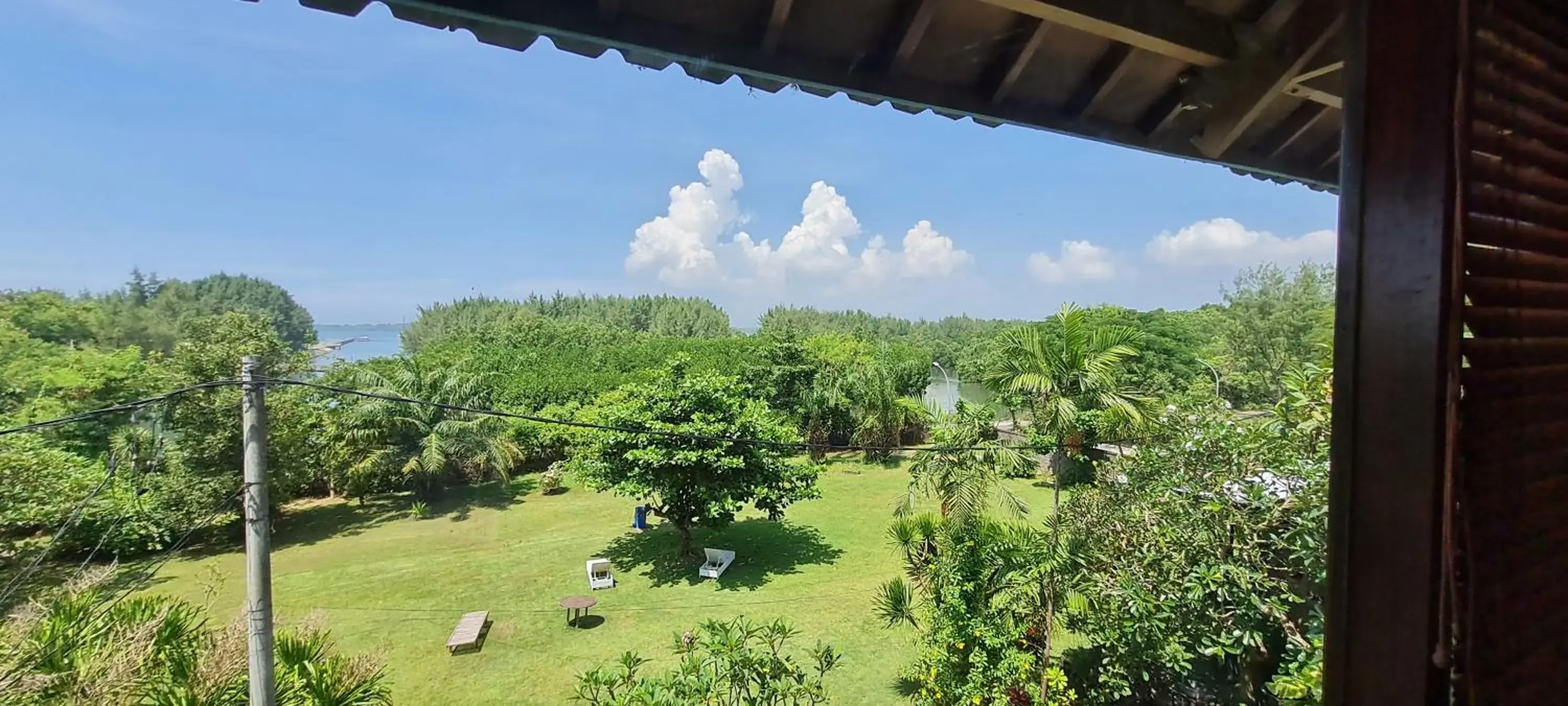 Garden view in Sanur Seaview Hotel