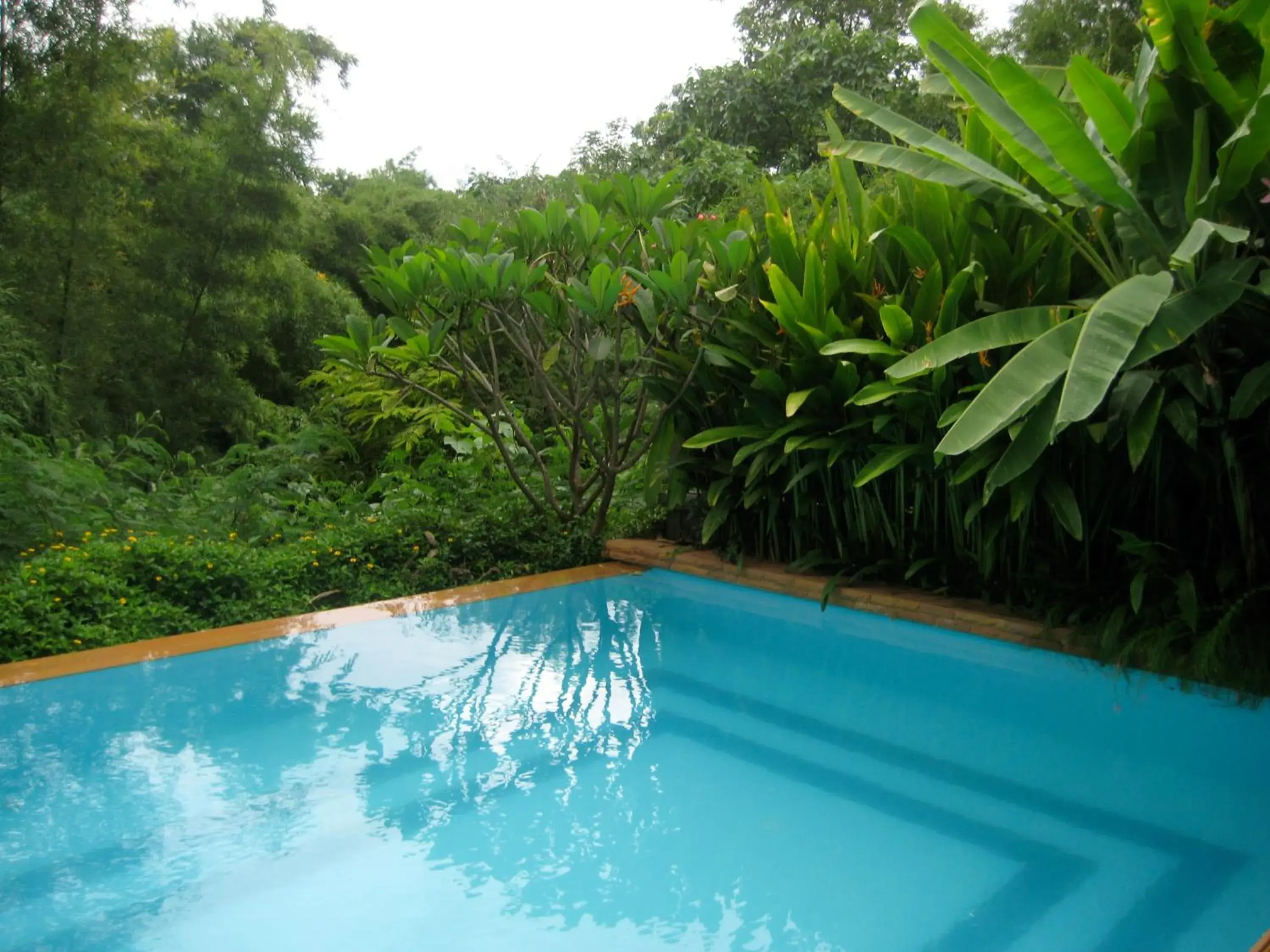 Natural landscape, Swimming Pool in Teakwood villa