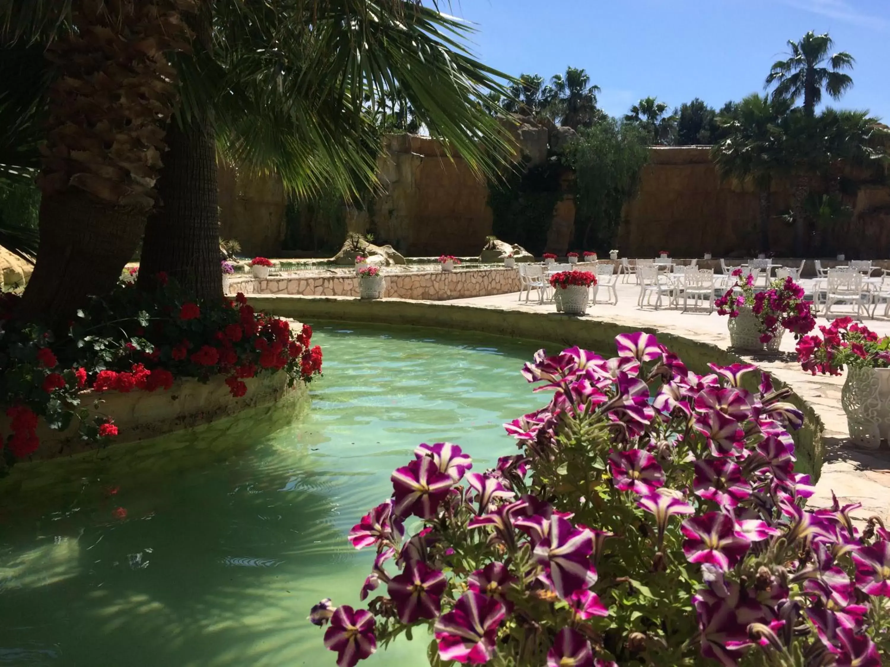 Day, Swimming Pool in Hotel Parco dei Principi