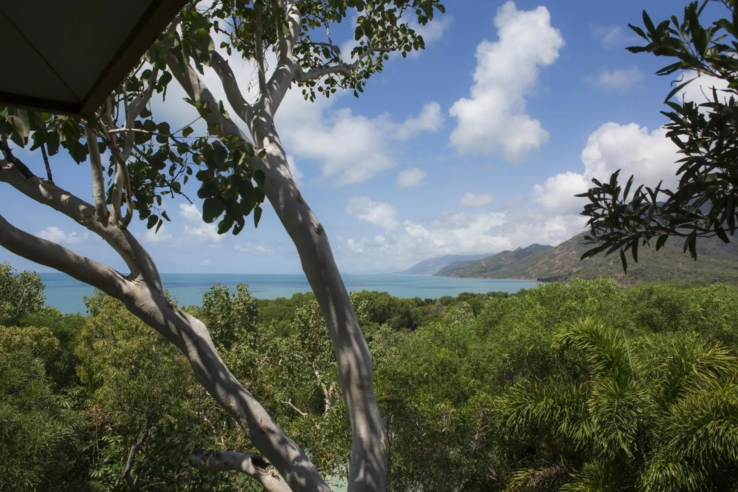 View (from property/room) in Thala Beach Nature Reserve