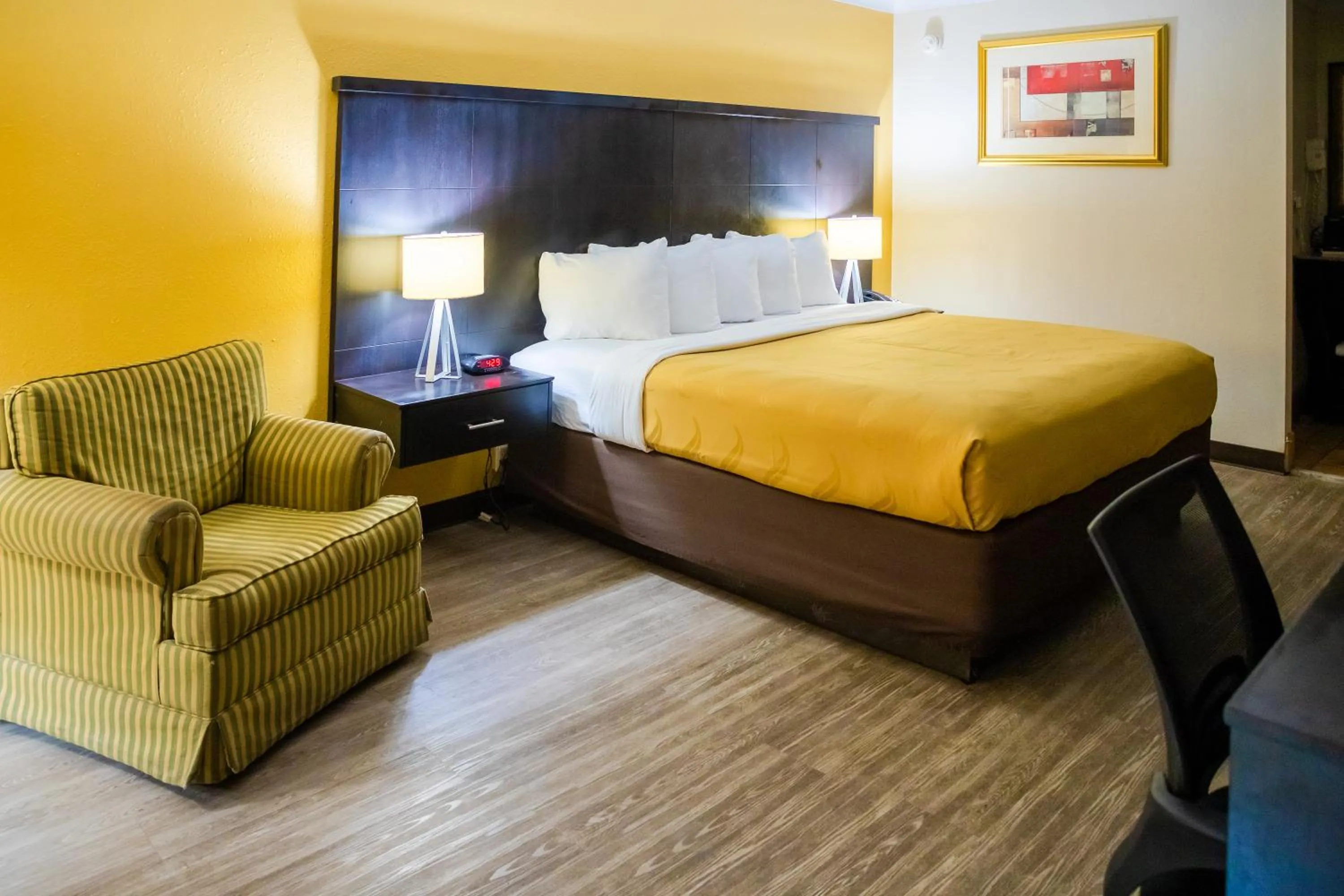 Standard King Room - Non-Smoking  in Quality Inn Richmond Hill - Savannah I-95