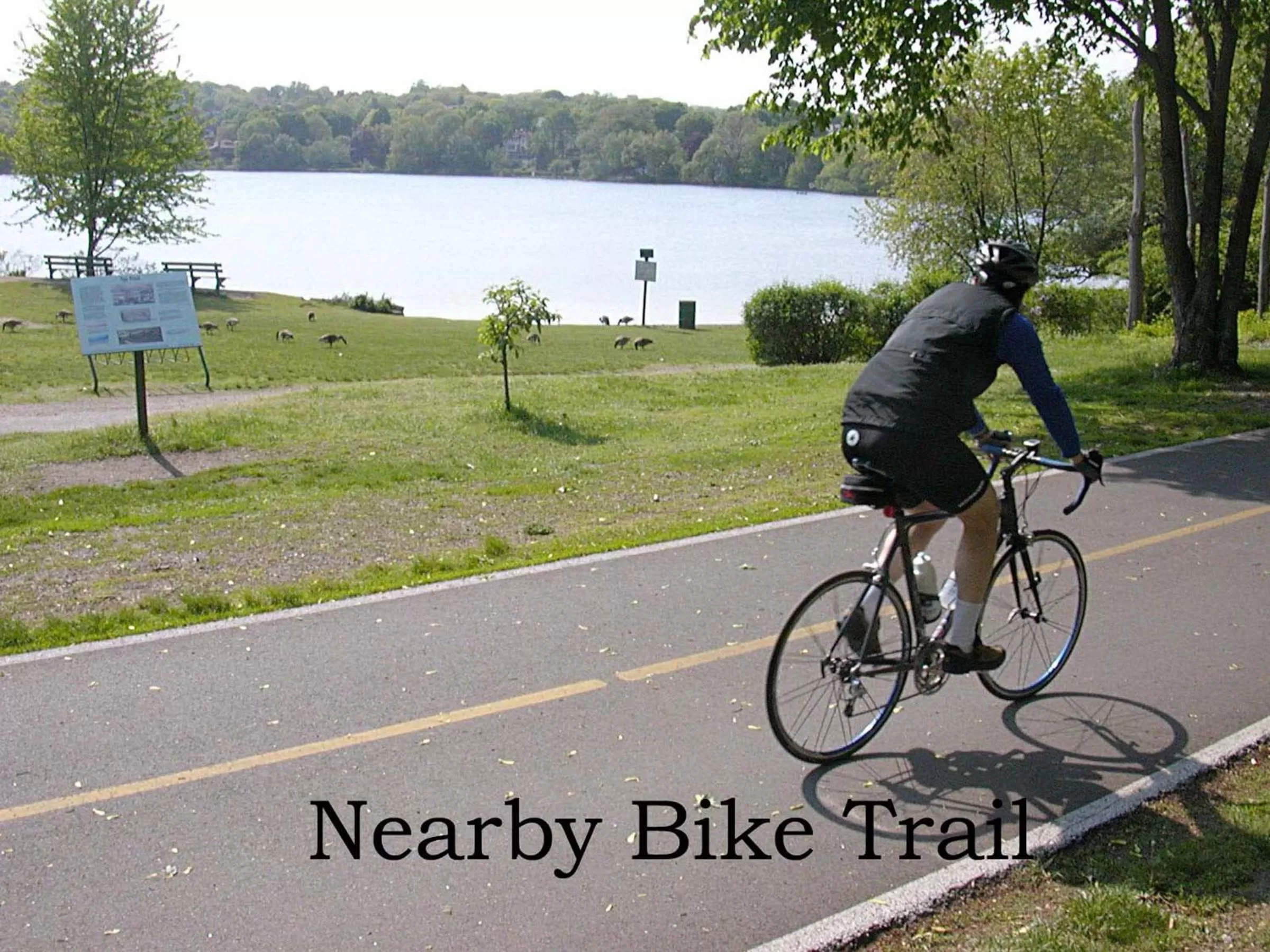 Activities in The Morrison House Bed and Breakfast