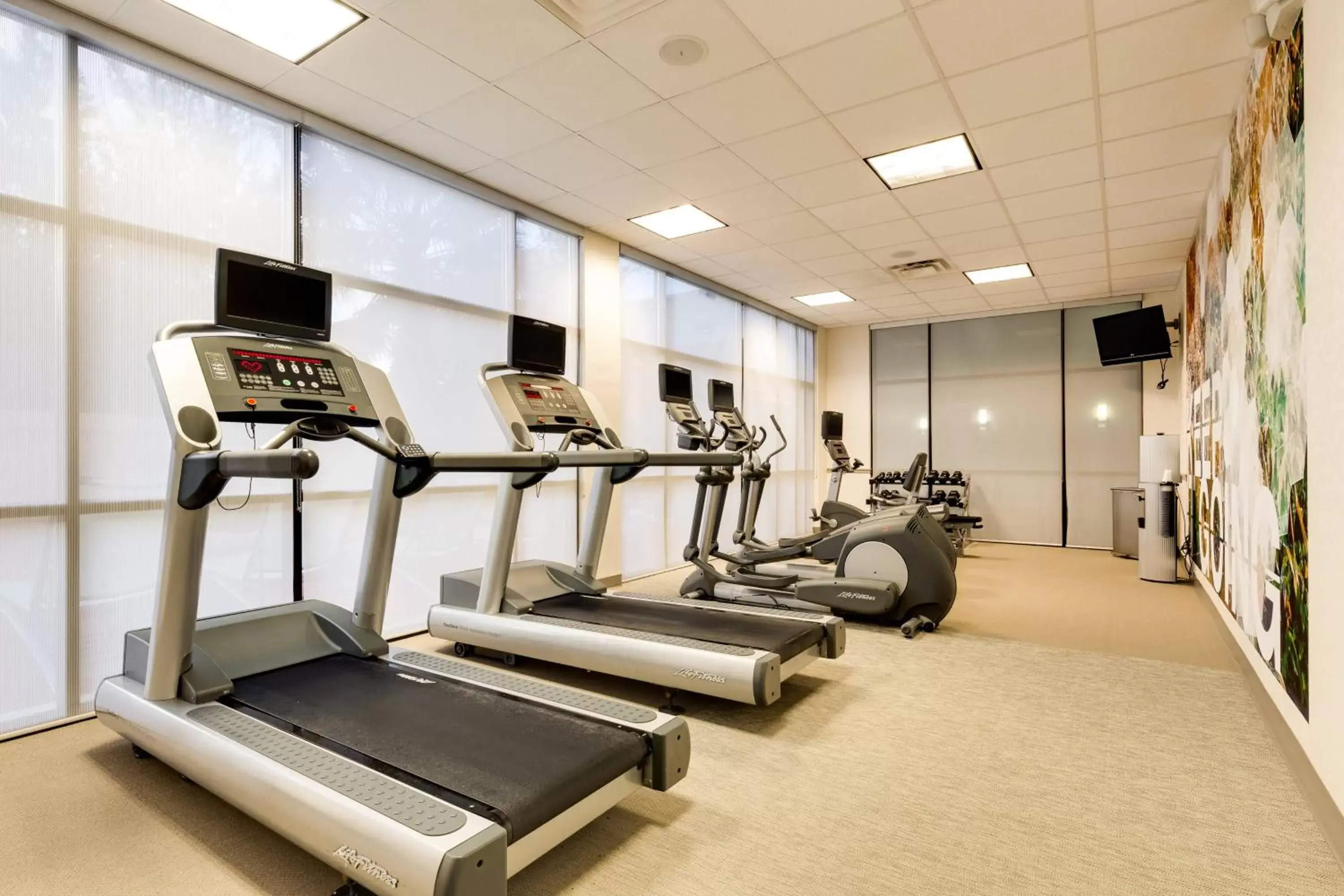 Fitness centre/facilities, Fitness Center/Facilities in SpringHill Suites McAllen