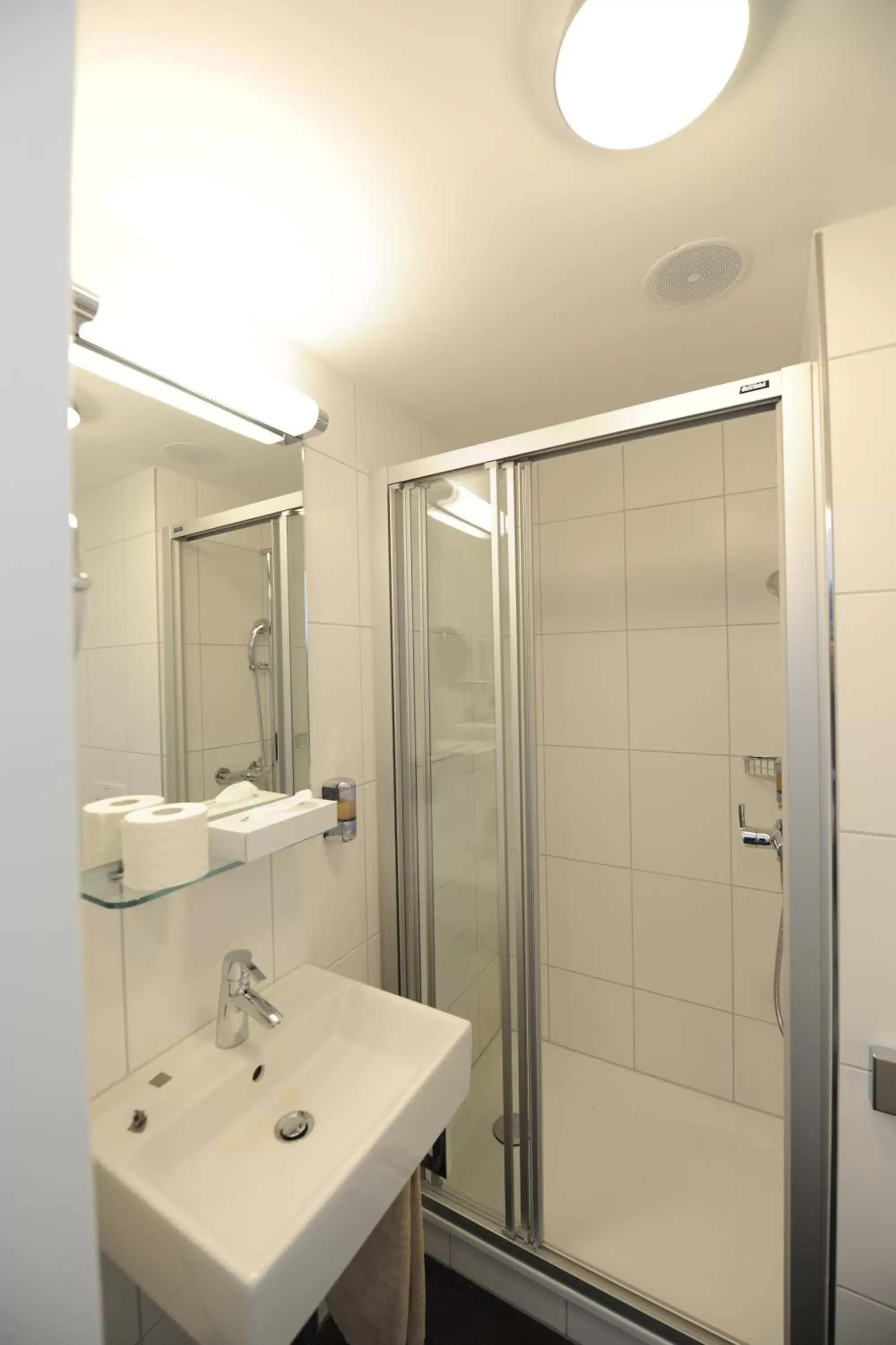 Shower, Bathroom in Hotel Freihof Swiss Lodge