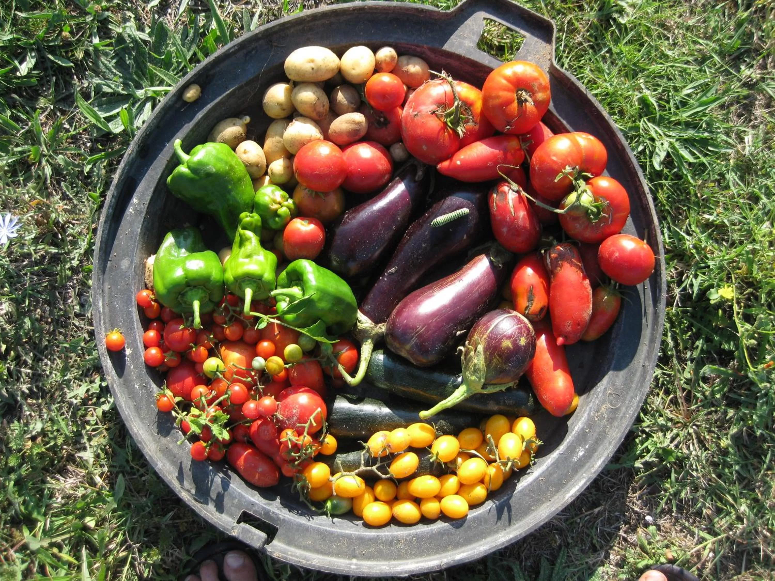 Summer, Food in Chambres d'Hôtes Aux Tournesols