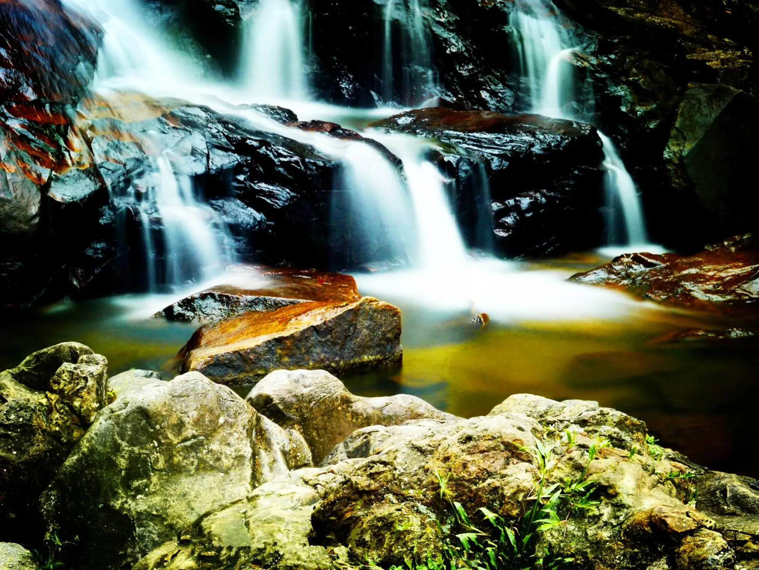 Natural Landscape in Hotel Legend Boutique