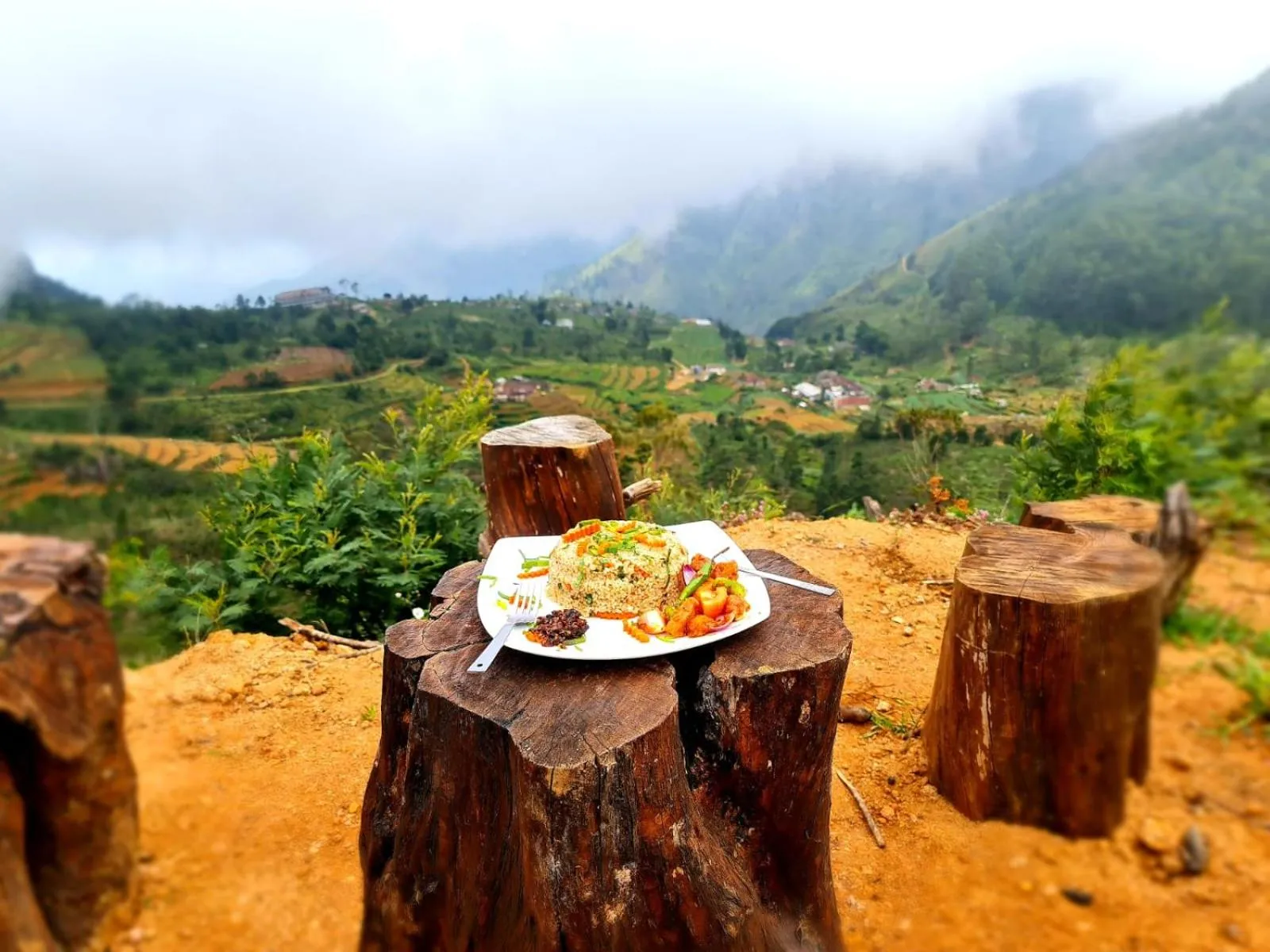 Hill Safari - Tea Estate Villa