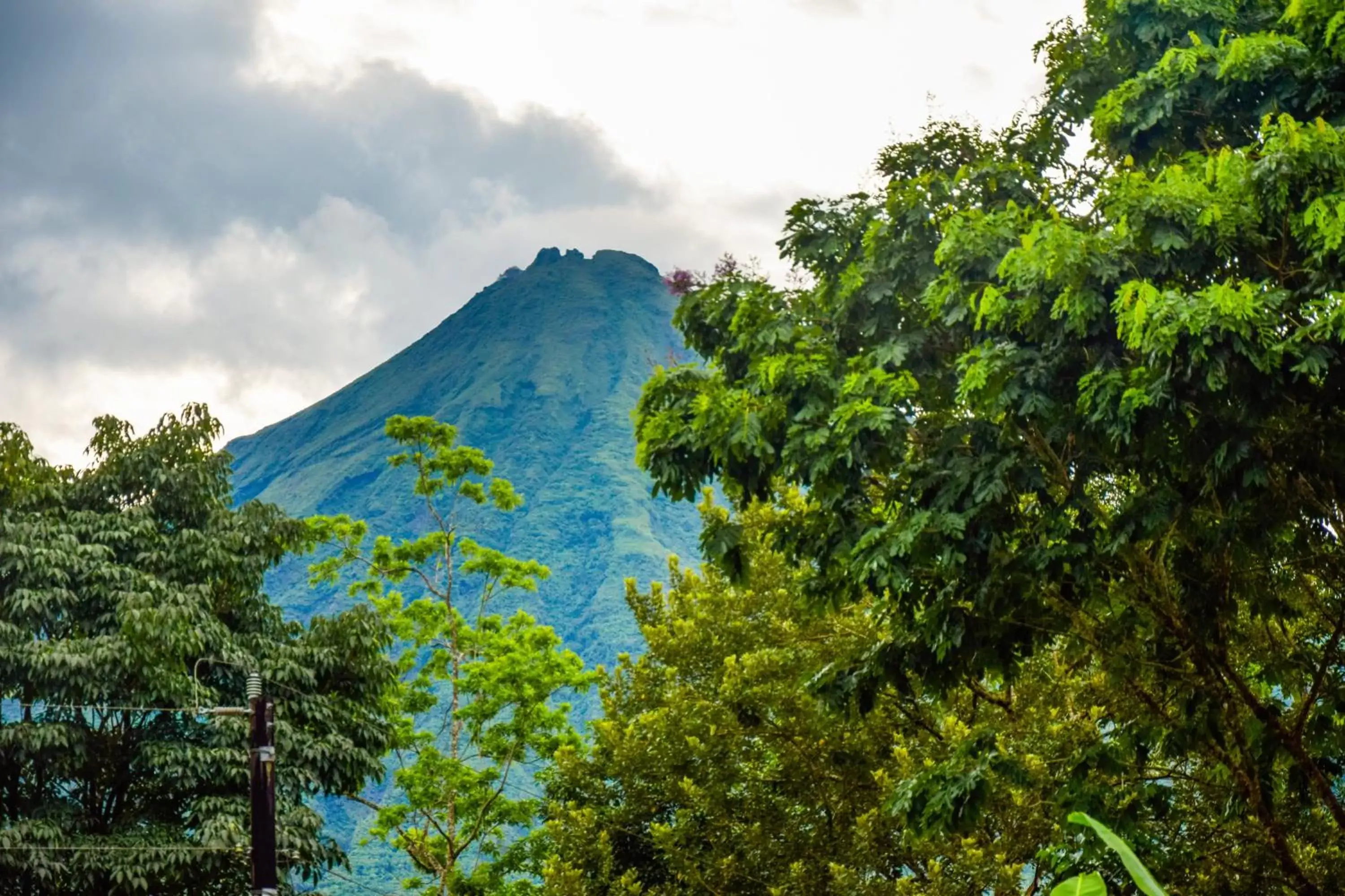 Garden view, Mountain View in Yellow Tree Suites