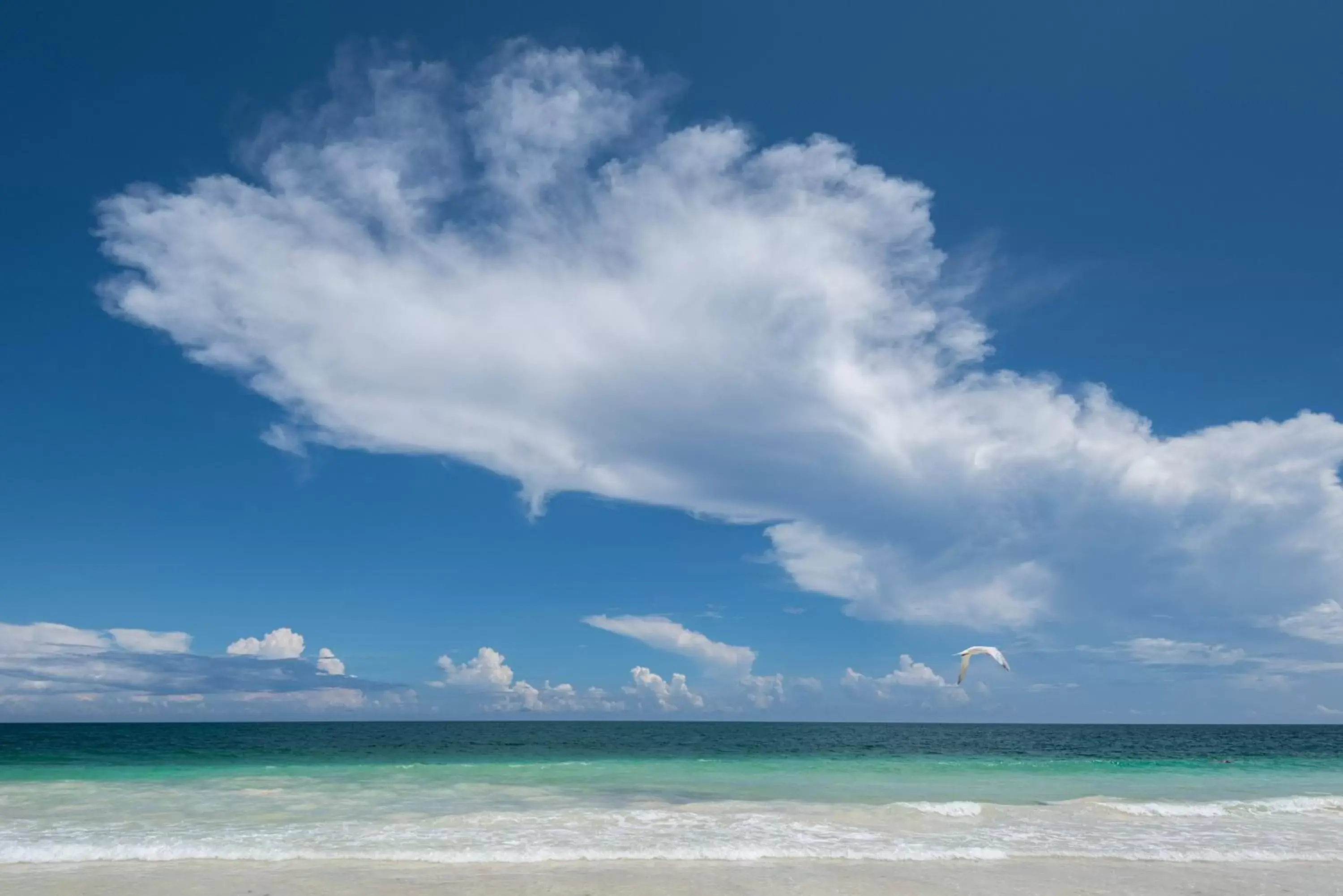 Beach in Casa Malca