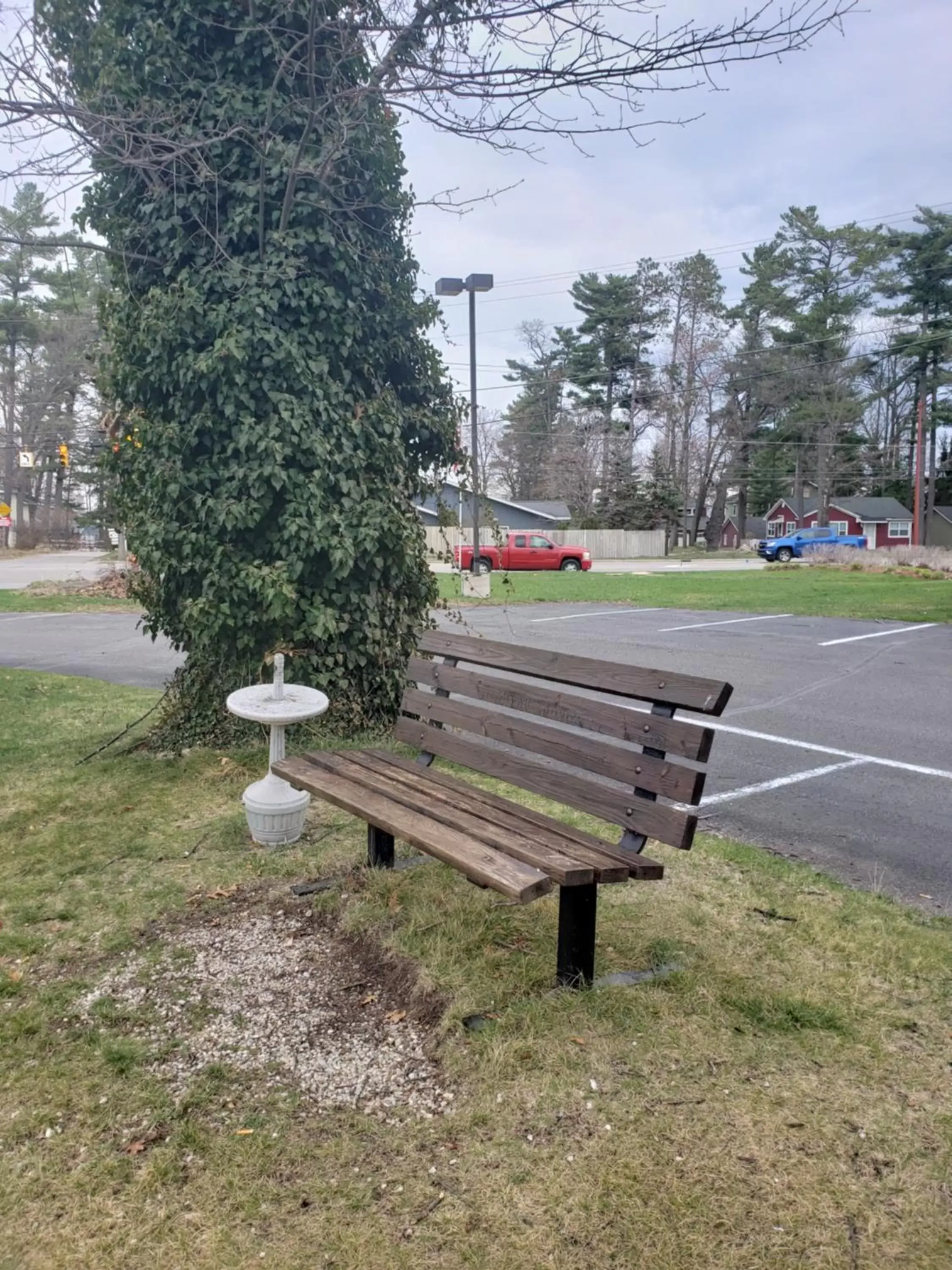 Natural landscape, Garden in Travelodge by Wyndham Traverse City MI