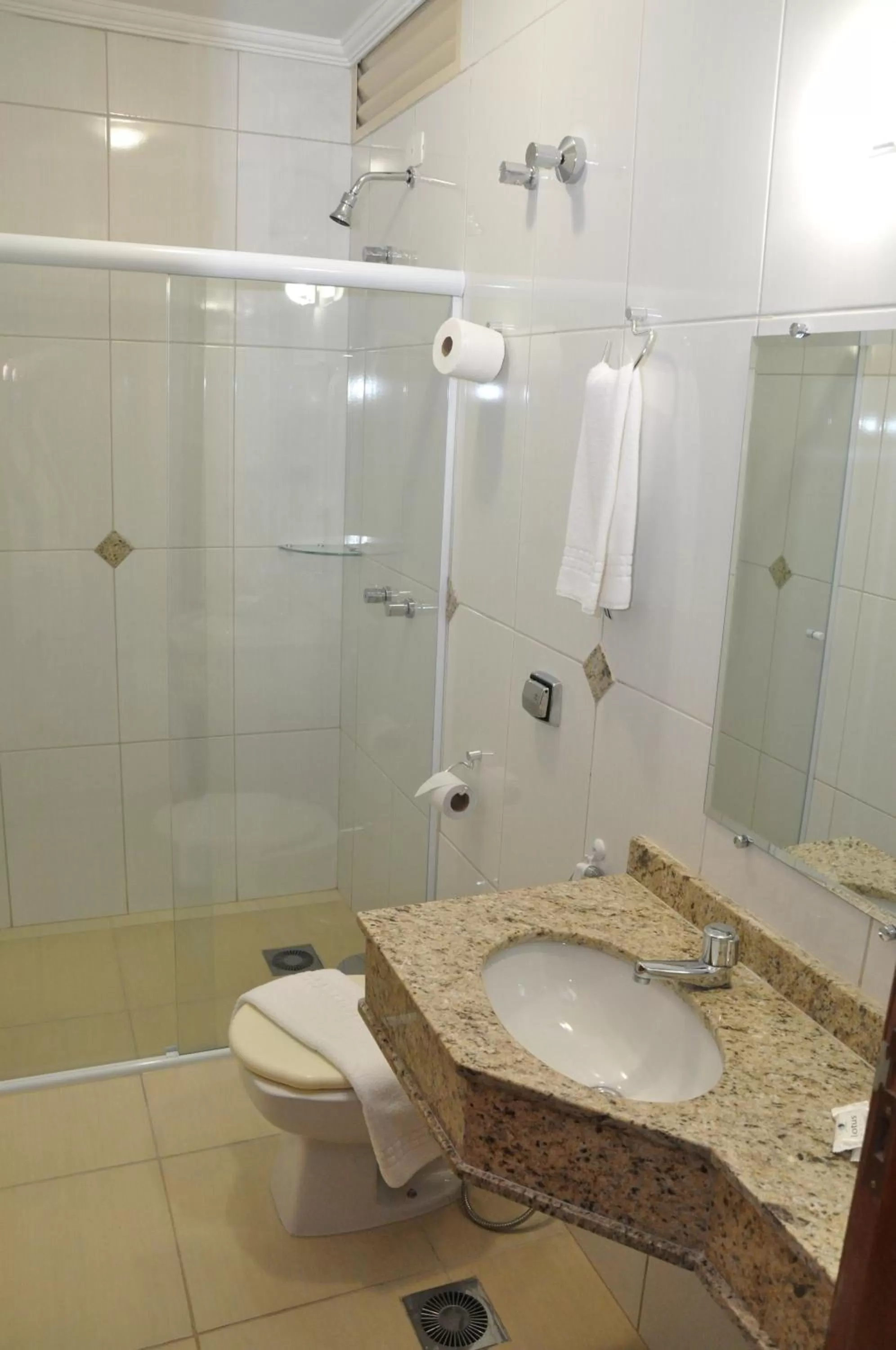 Bathroom in Lotus Hotel - à 6 km do Santuário de Aparecida-SP