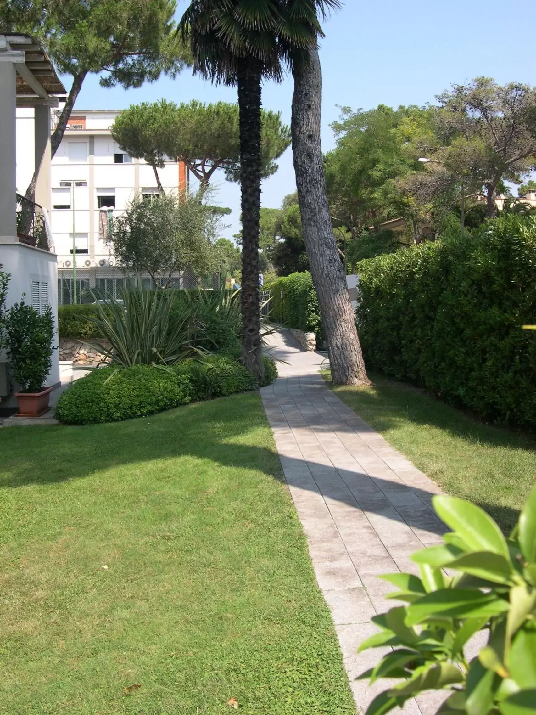 Garden in Hotel Bristol