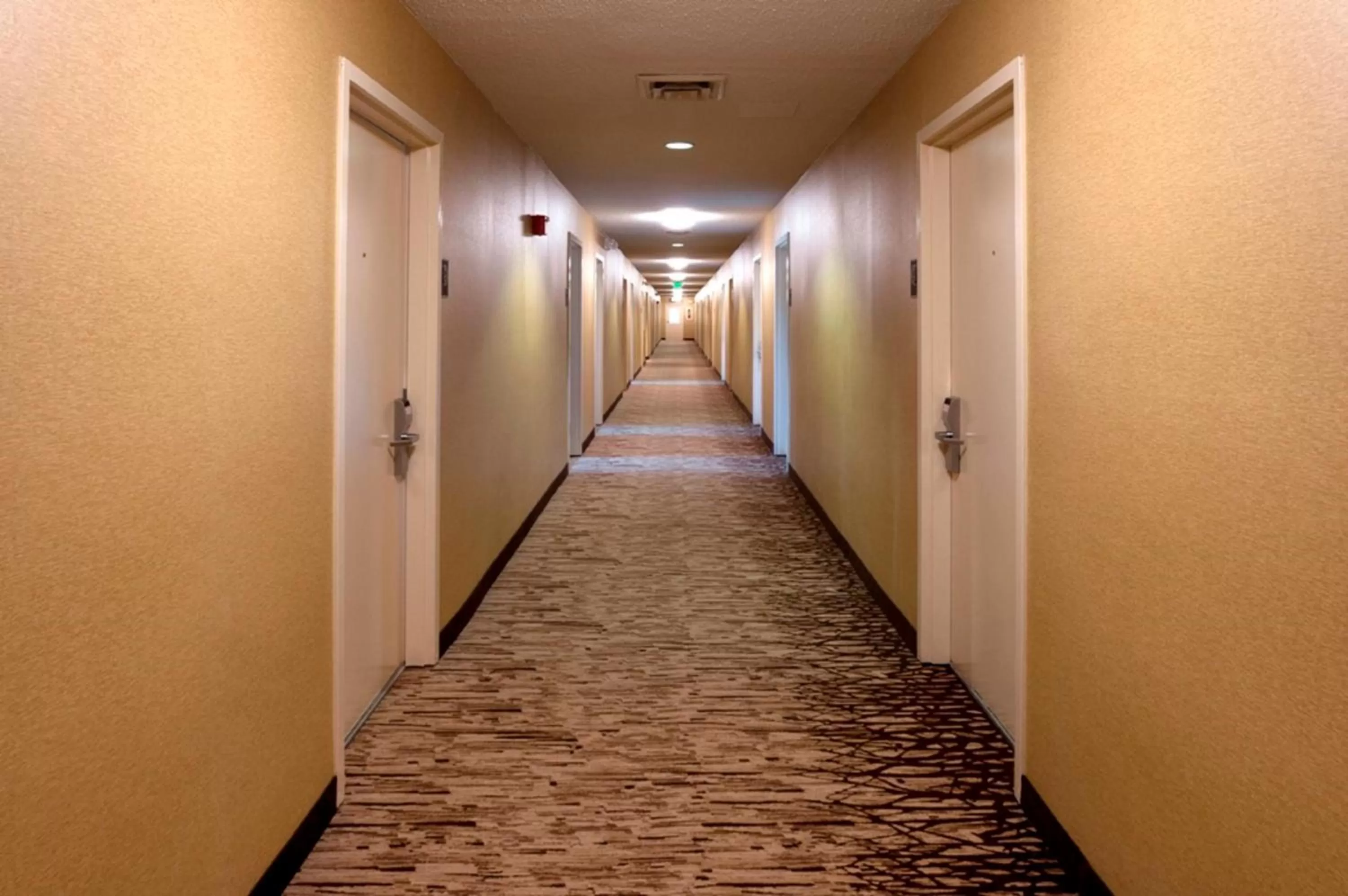 Lobby or reception in Red Roof Inn Washington, PA