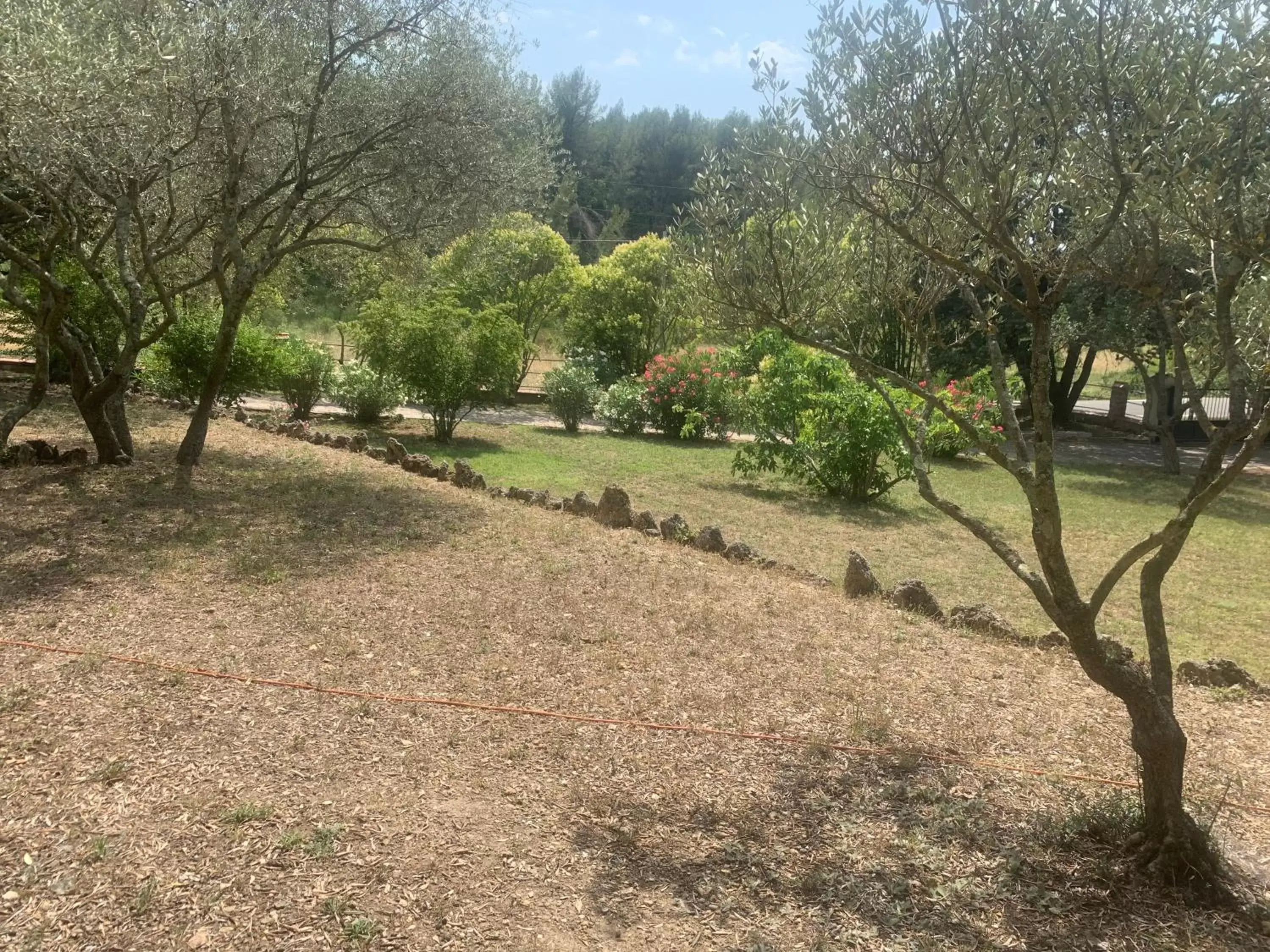 Garden in Villa San Marco chambre d hôtes