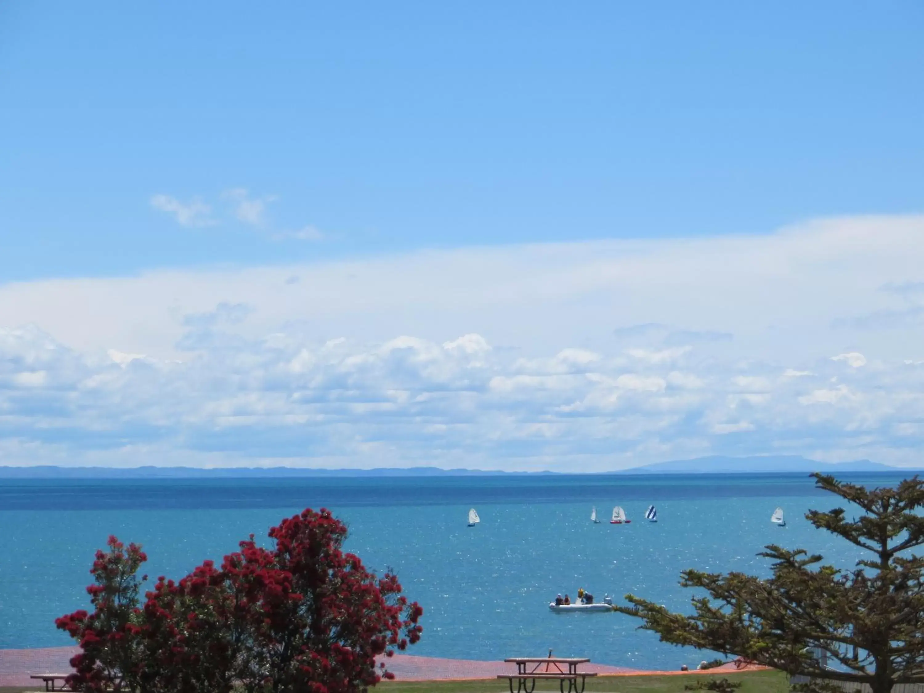 Sea view in Harbour View Motel on Ahuriri Beach in Napier NZ with sea view suites Sea view in Harbour View Motel on Ahuriri Beach in Napier NZ with sea view suites