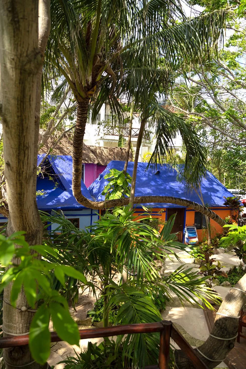 Garden view in Hotel Amar Inn