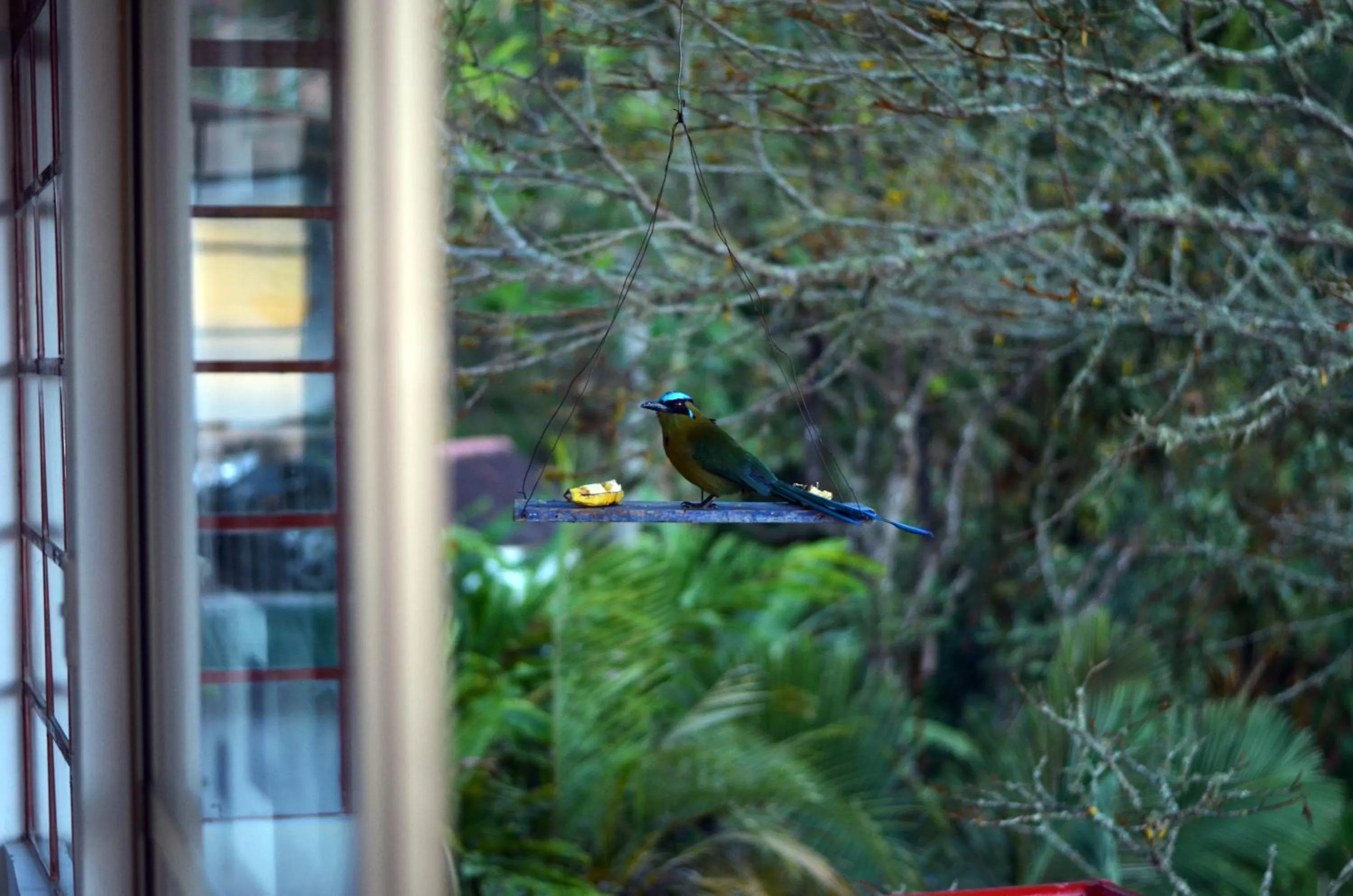 Facade/entrance in Eco Lodge La Juanita