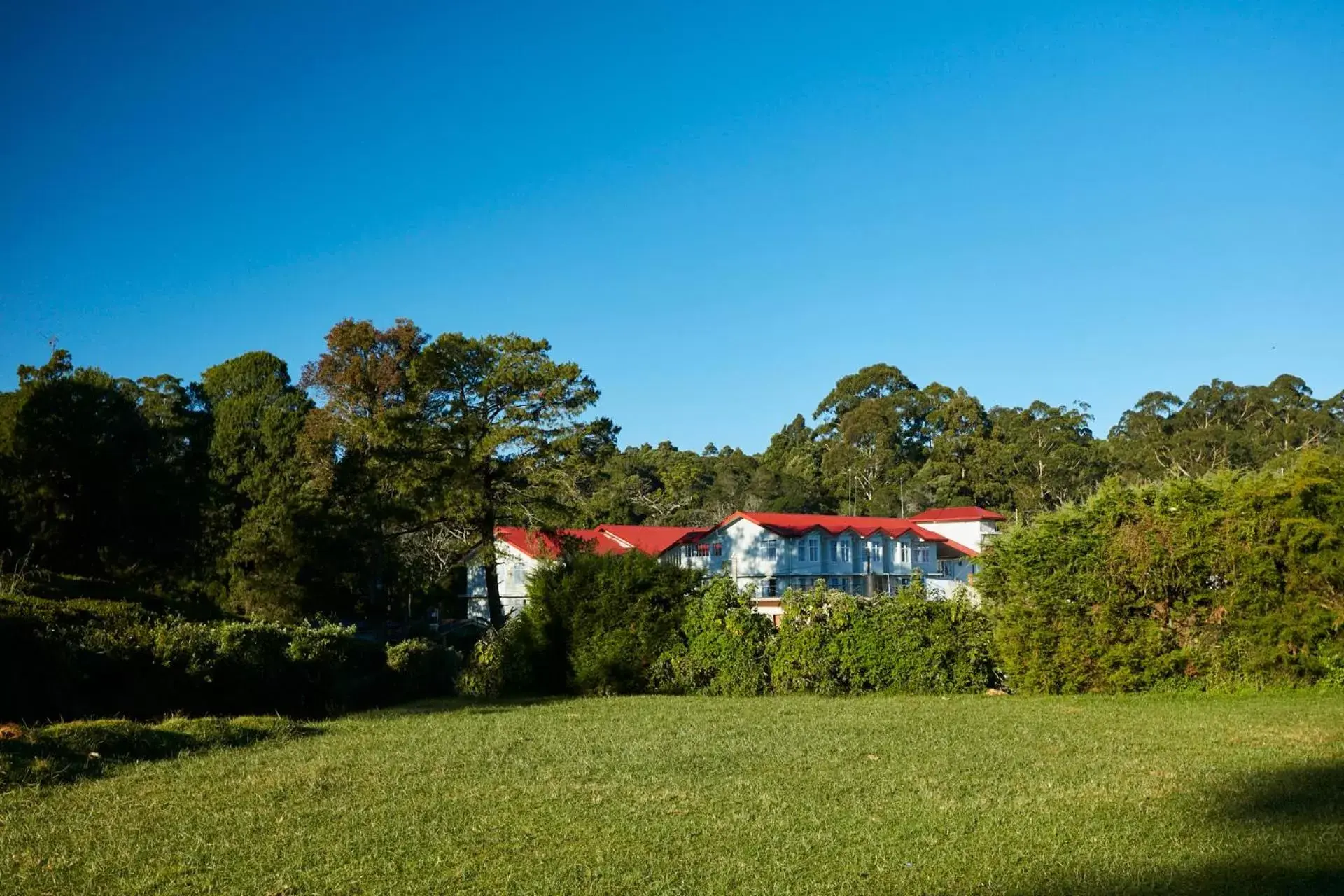 Garden, Property Building in Galway Heights Hotel