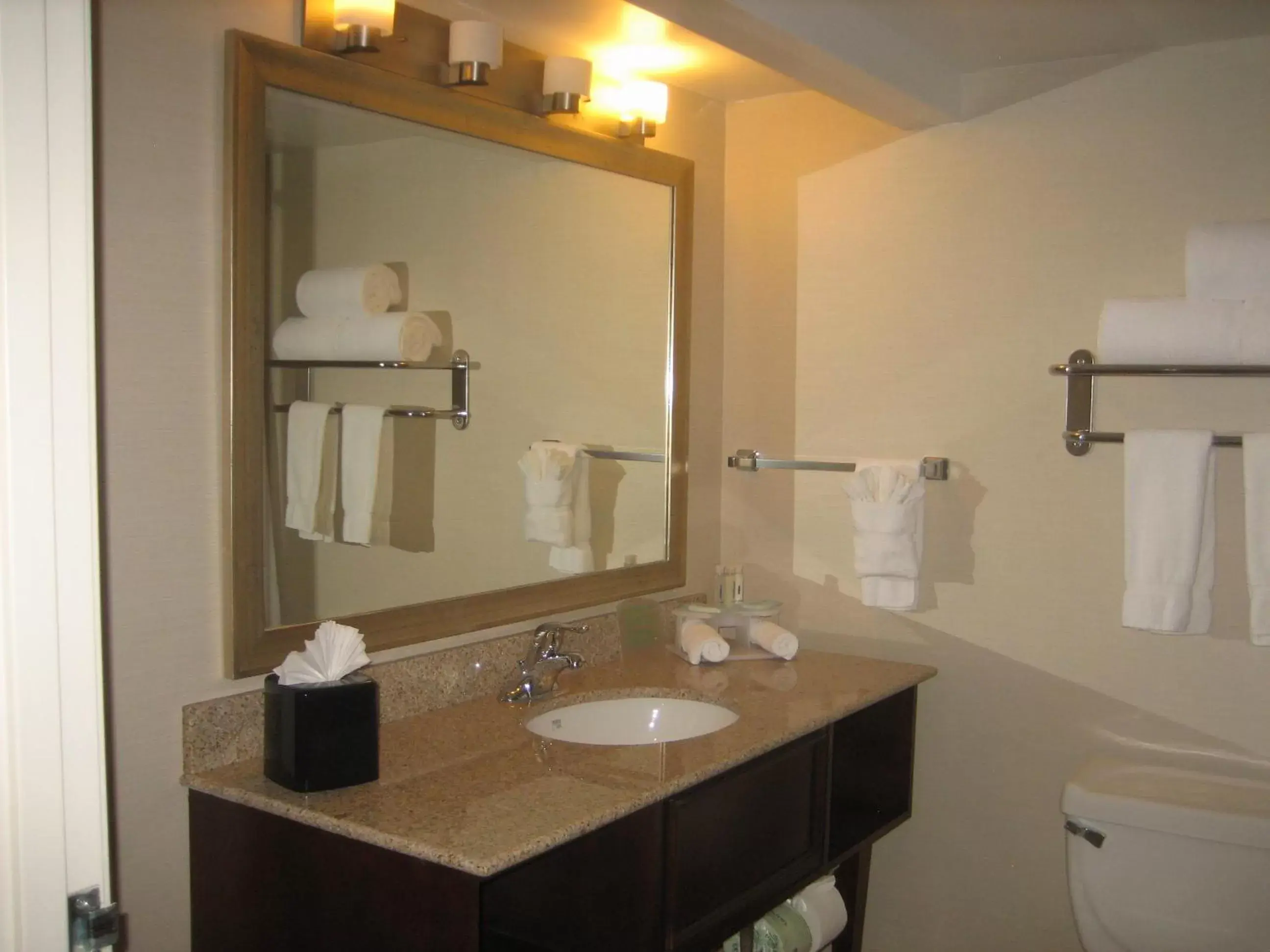 Bathroom in Holiday Inn Express Scottsdale North, an IHG Hotel