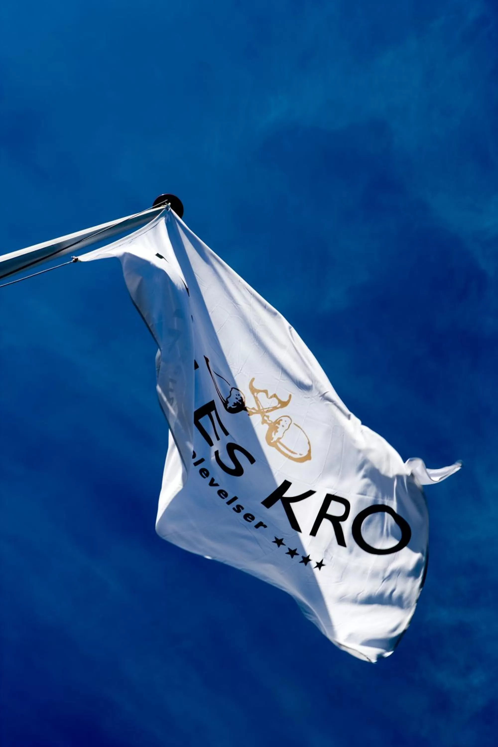 Decorative detail in Nilles Kro