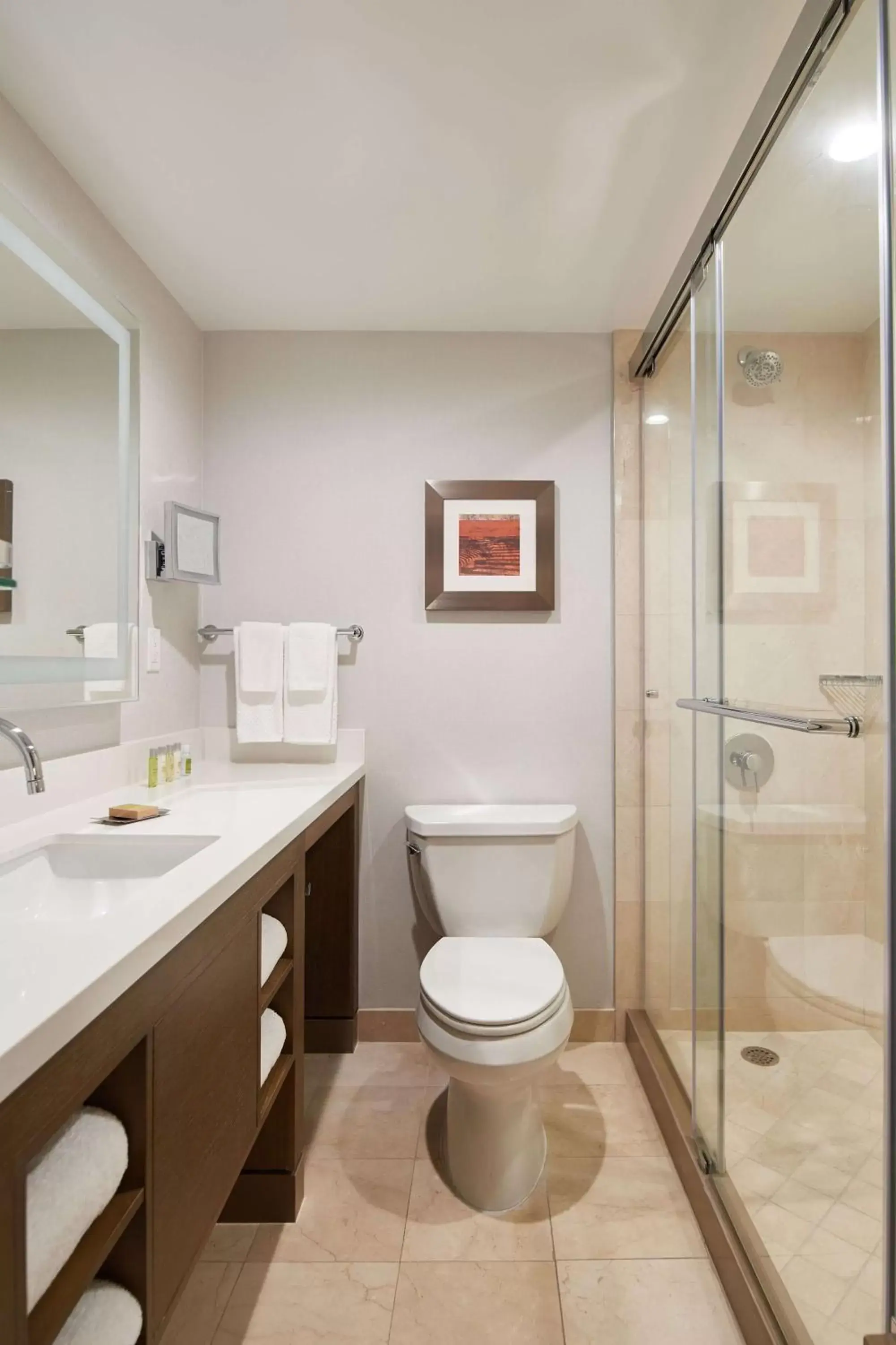 Bathroom in DoubleTree by Hilton Torrance - South Bay