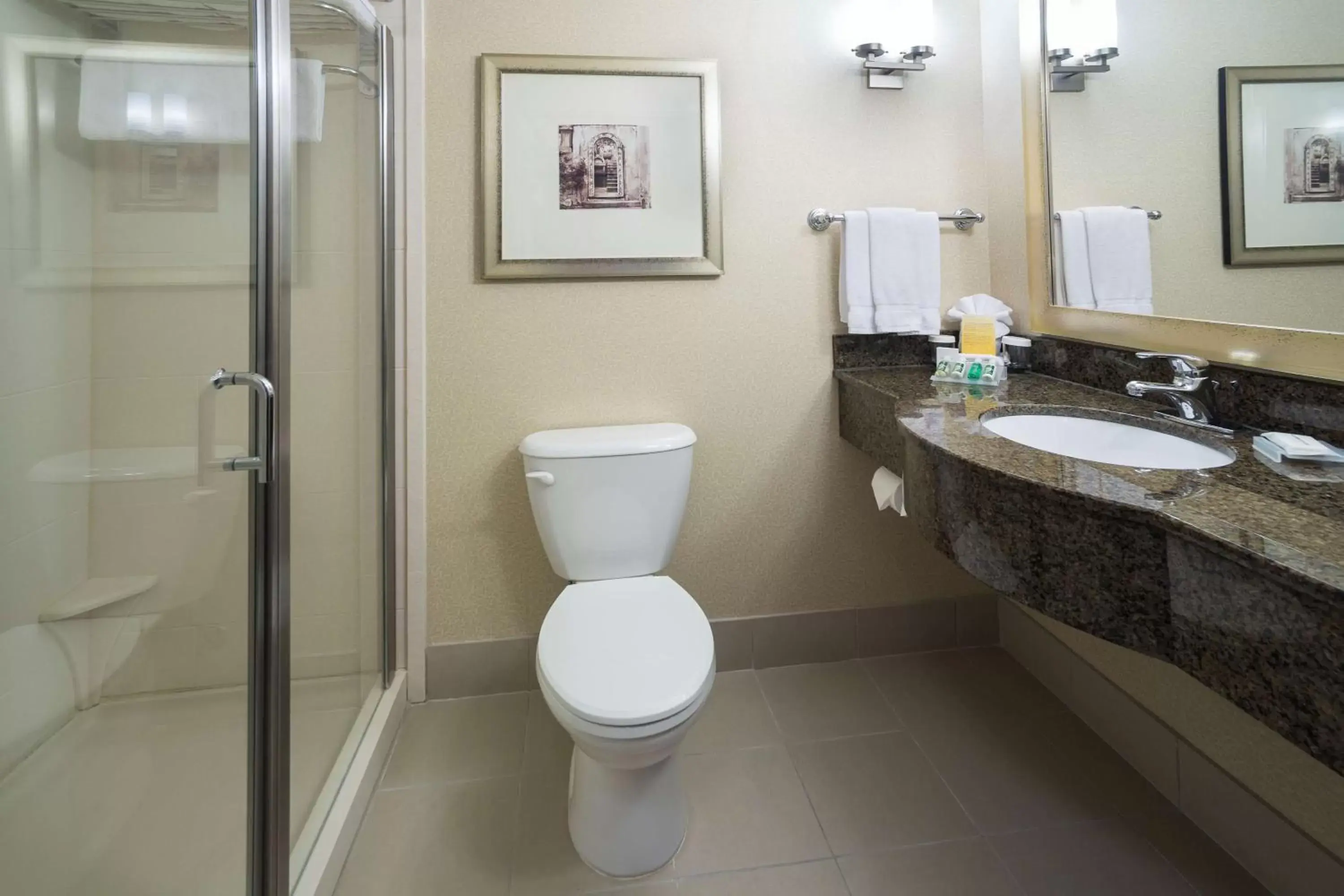 Bathroom in Hilton Garden Inn Sioux Falls South