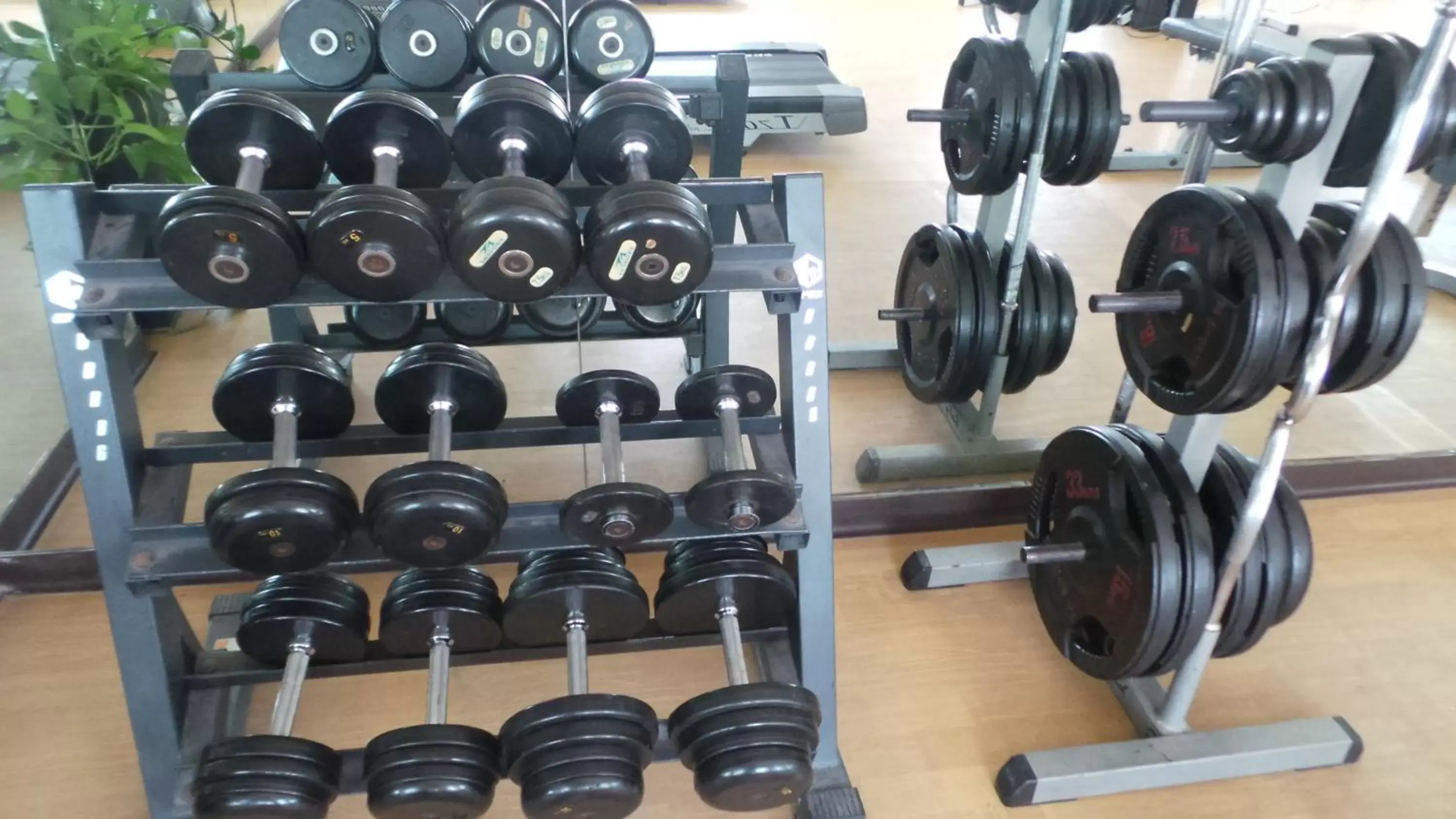 Fitness centre/facilities, Fitness Center/Facilities in Xclusive Hotel Apartments