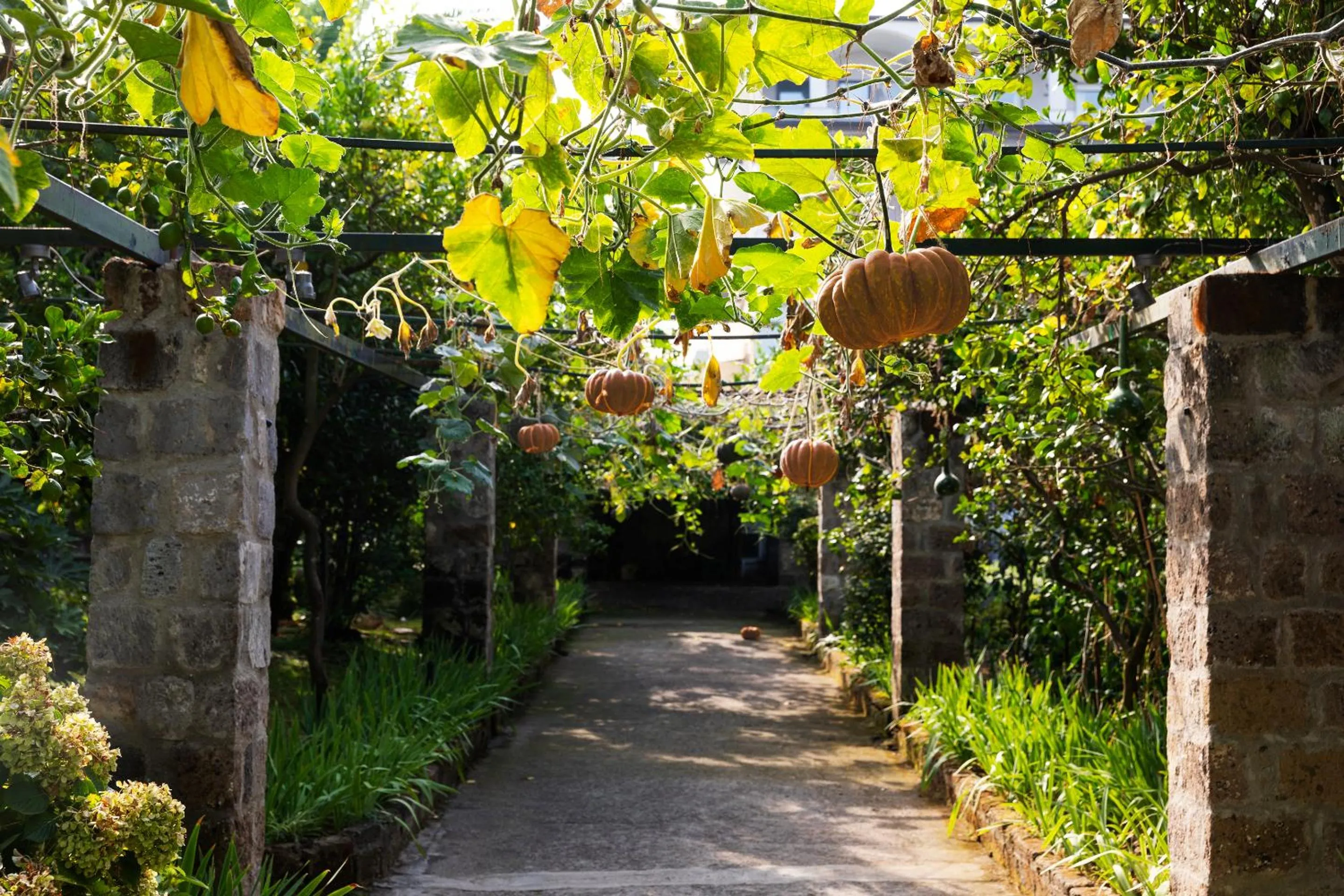 Garden in Grand Hotel Cocumella