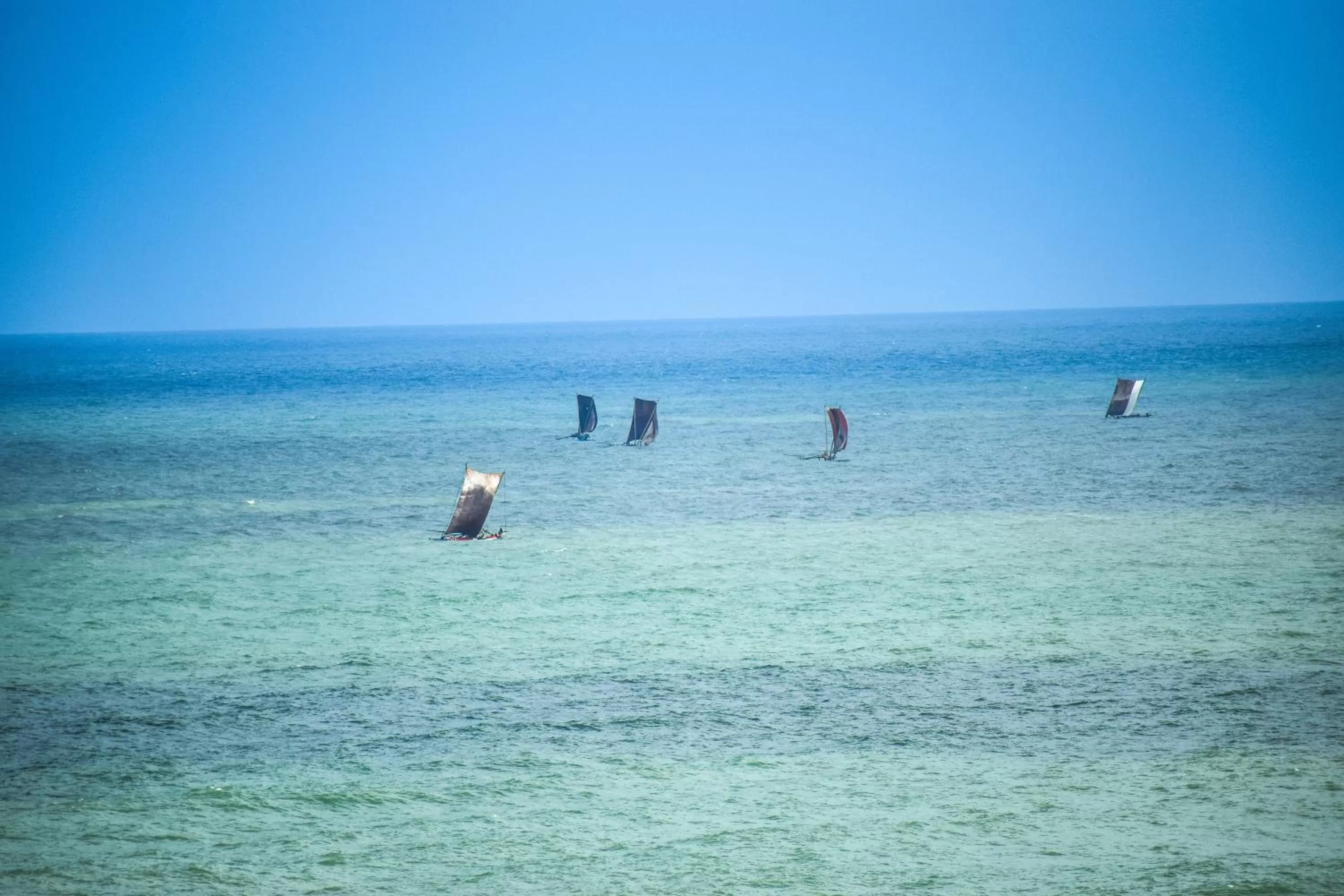 Natural landscape in Ruvisha Beach Hotel