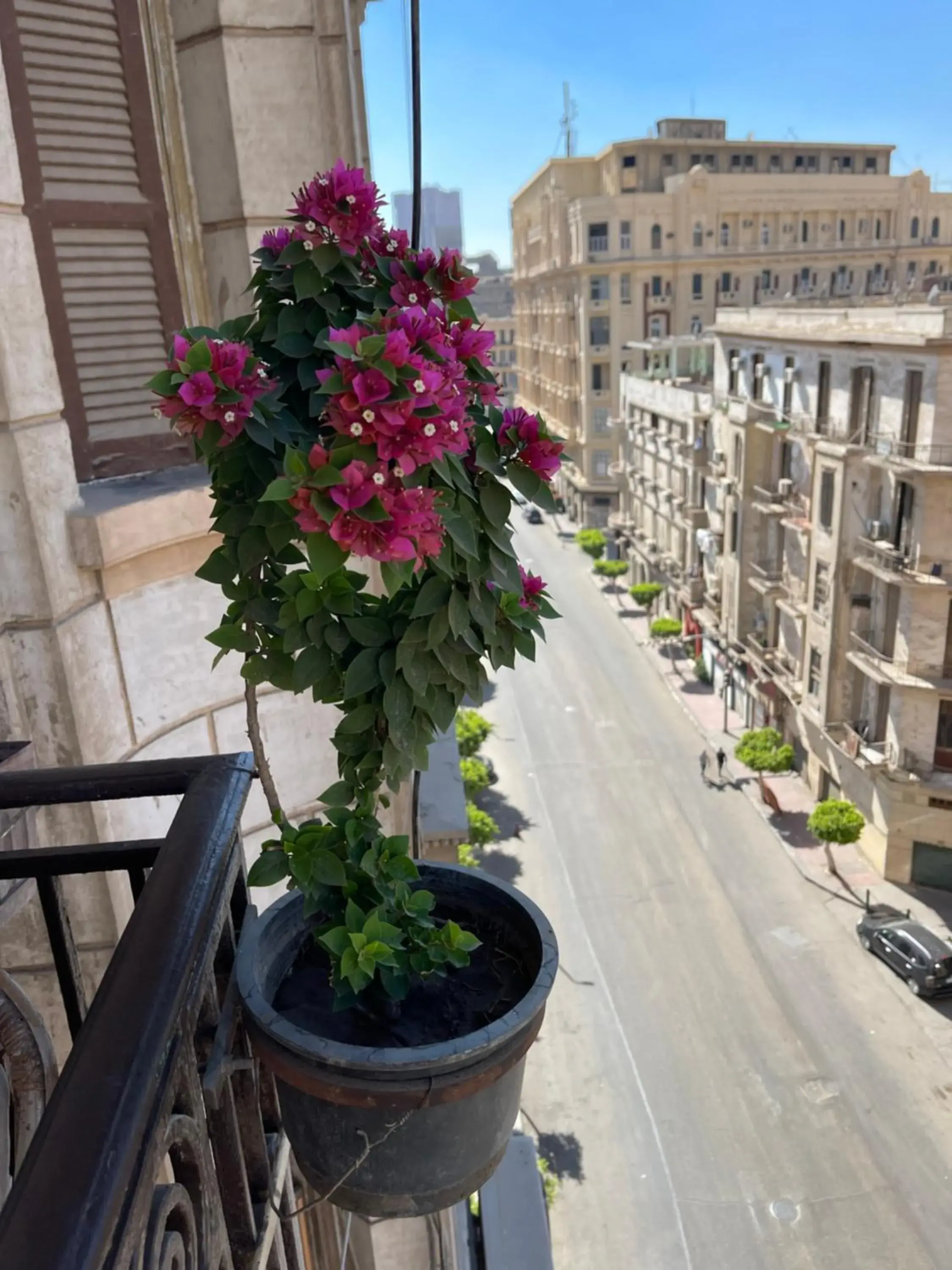 Balcony/Terrace in Meramees Hostel