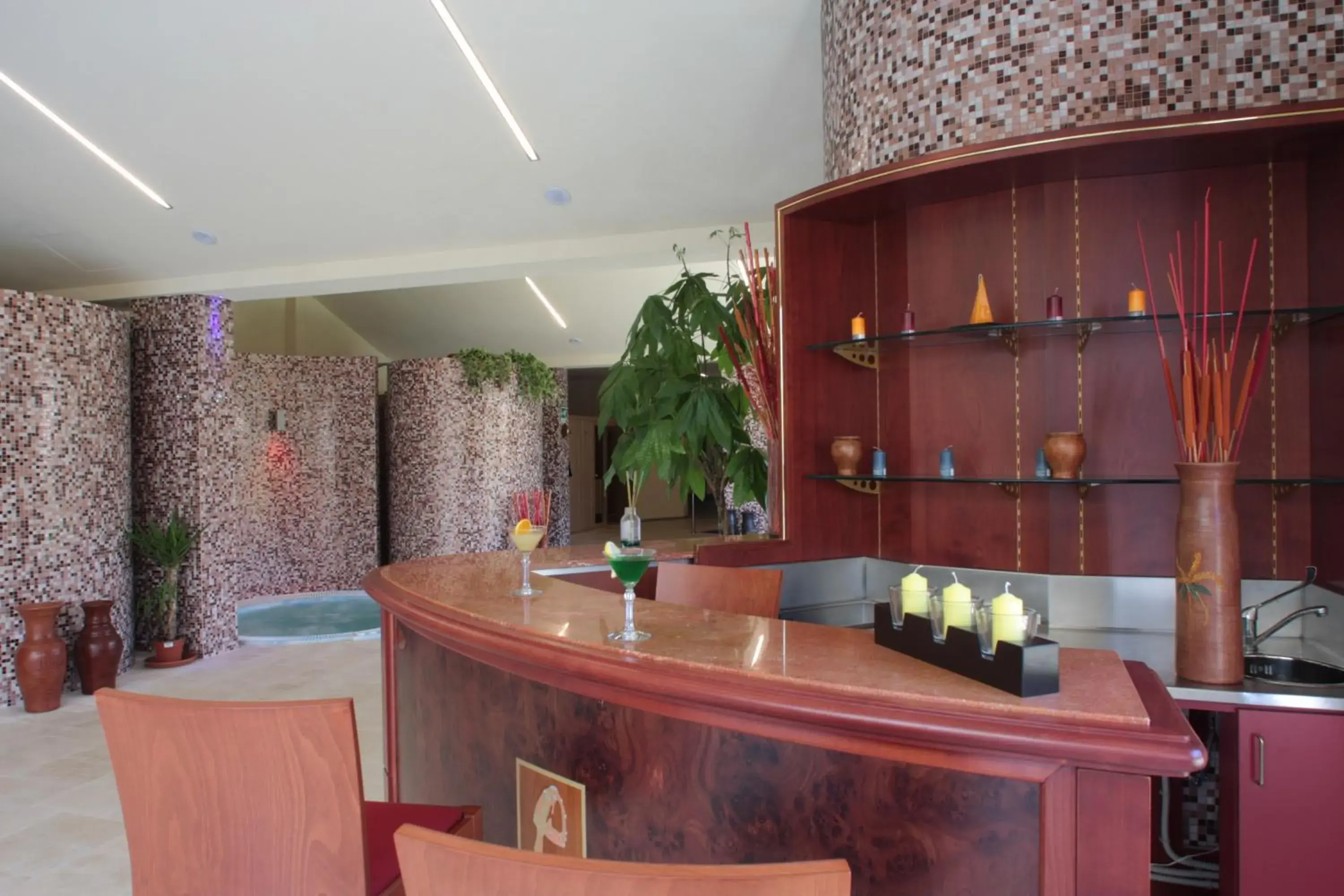 Spa and wellness centre/facilities, Lounge/Bar in Palace Hotel San Michele