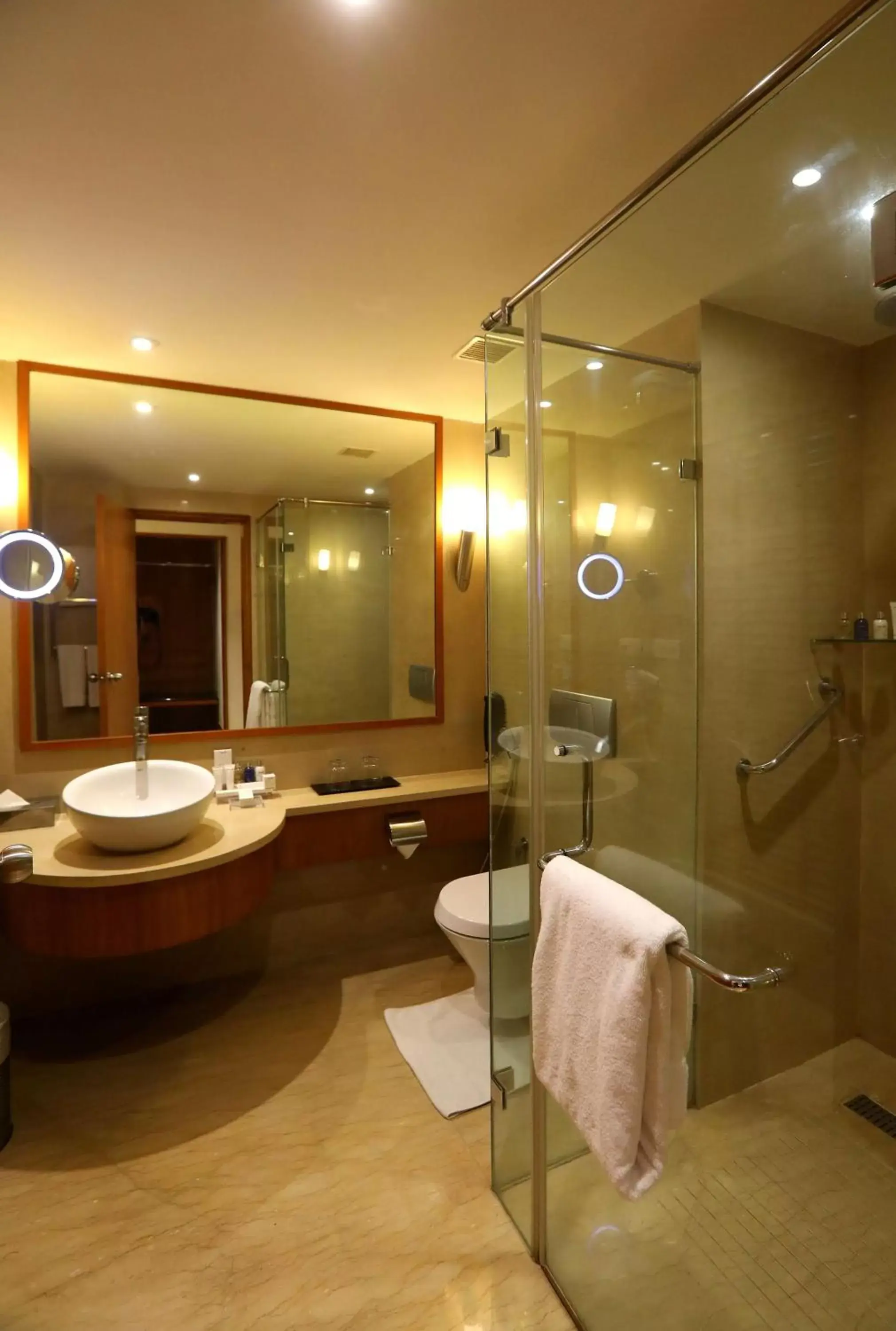 Bathroom in Radisson Blu Hotel Chennai City Centre